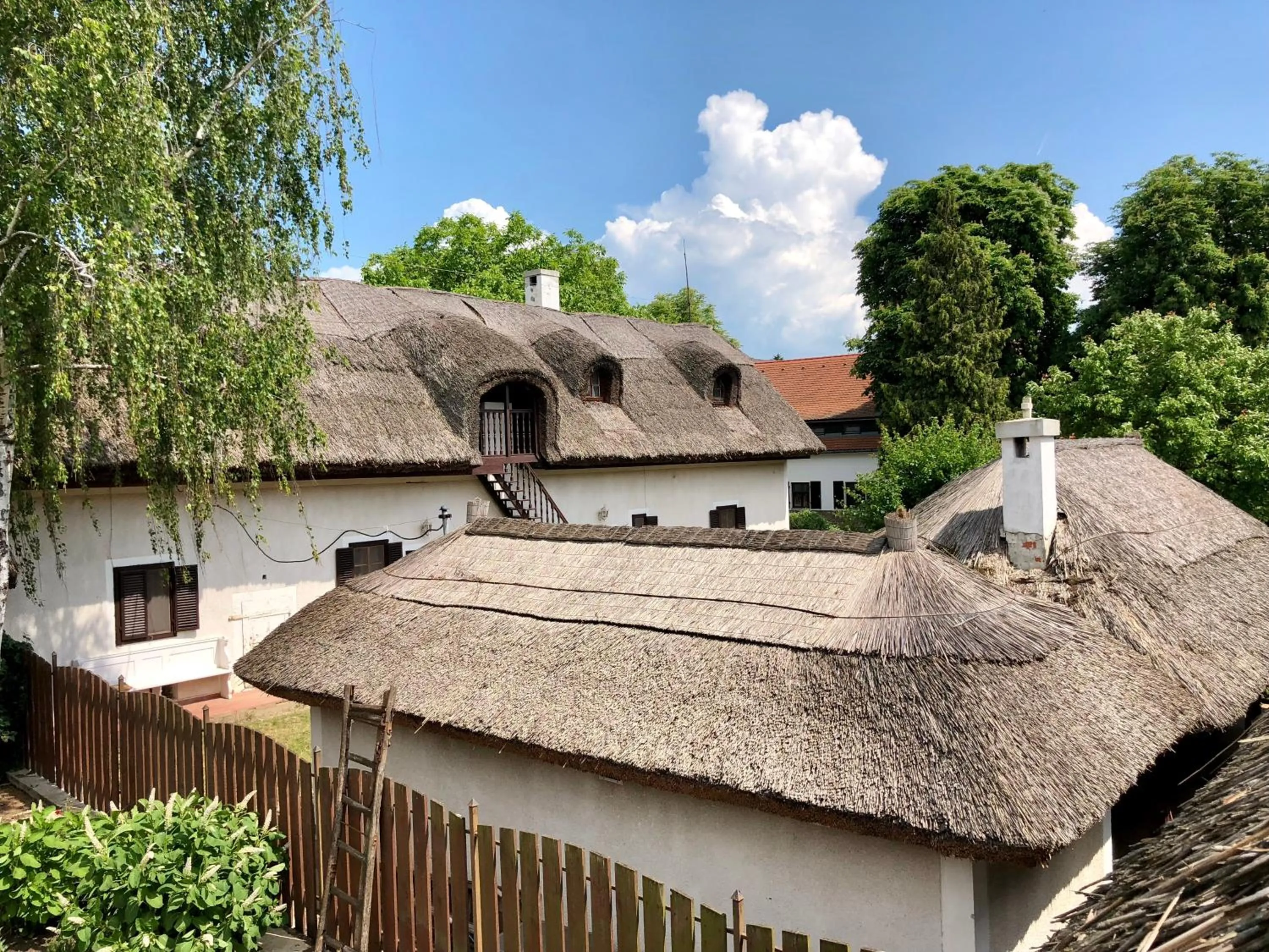 Garden view in The Houses of History - anno 1830
