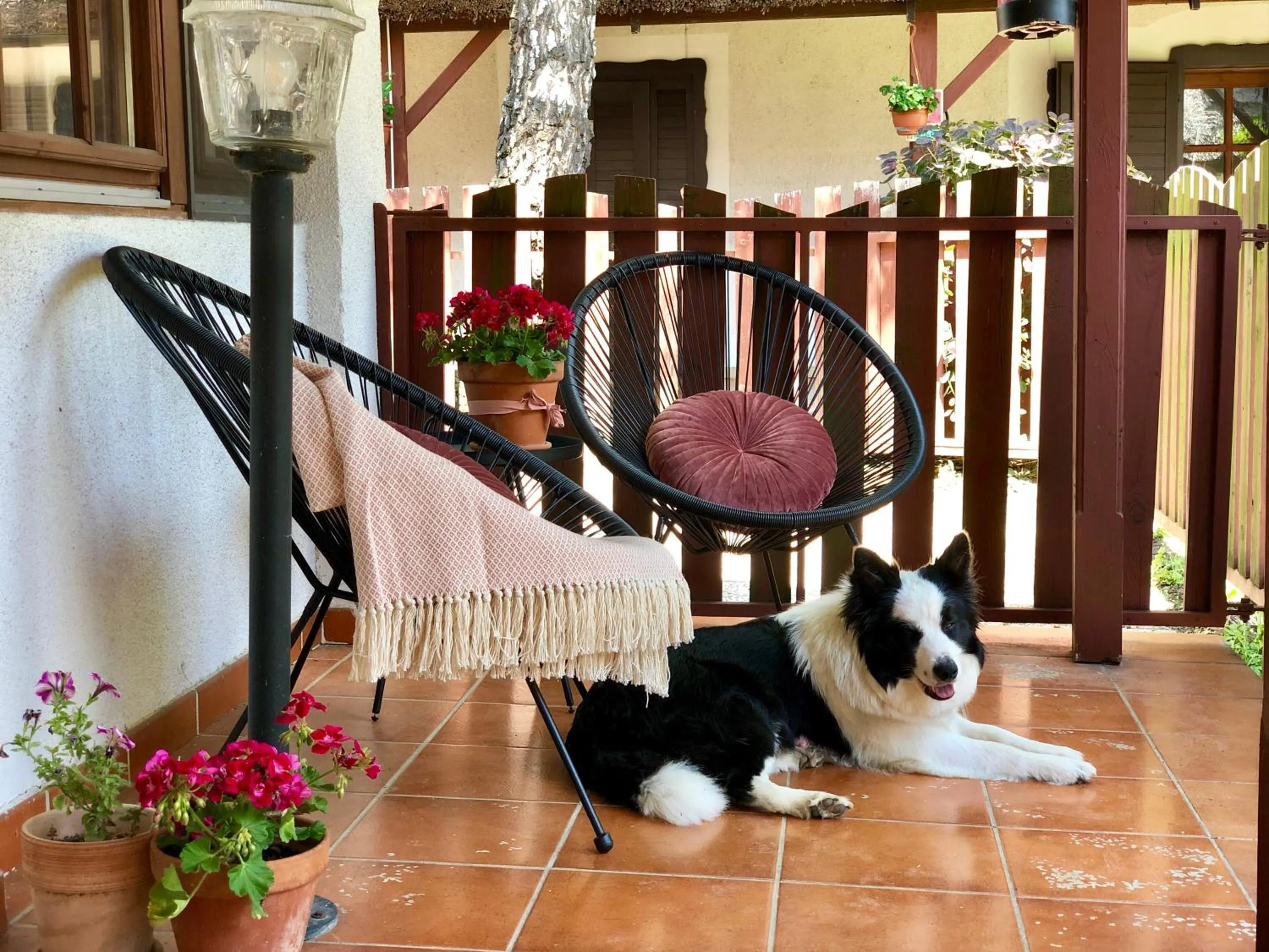 The Houses of History - anno 1830