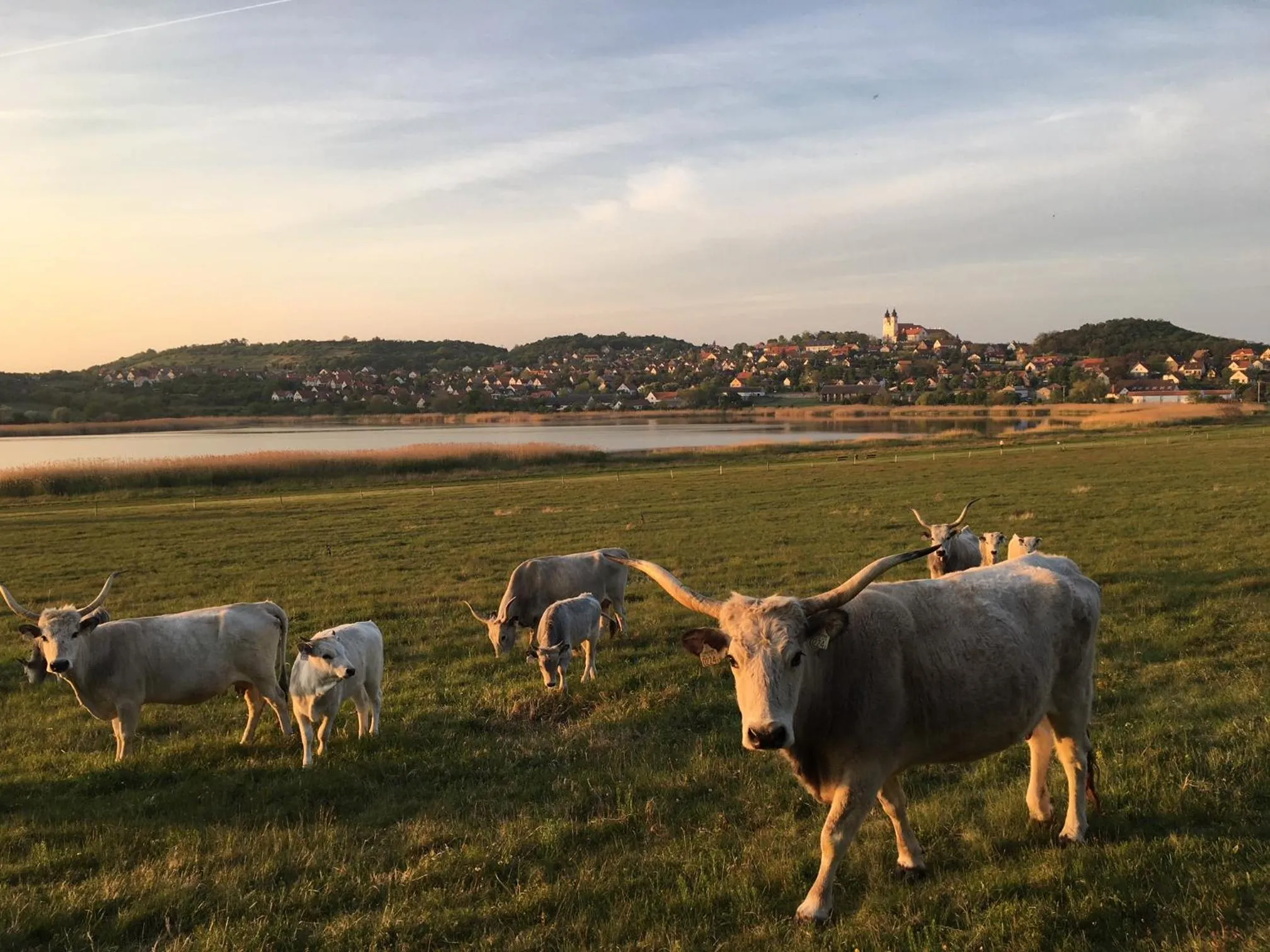 Off site in The Houses of History - anno 1830