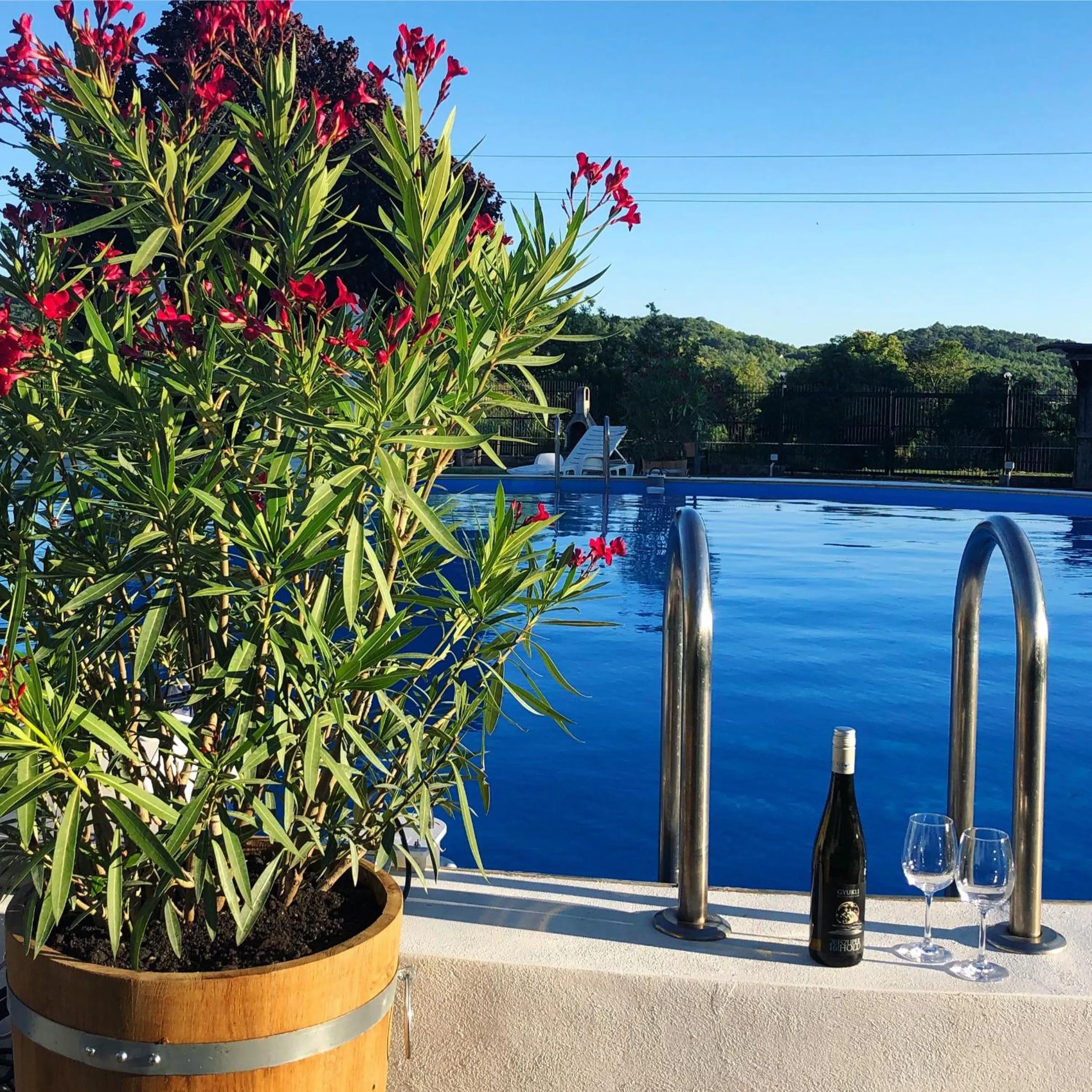 Swimming pool in The Houses of History - anno 1830