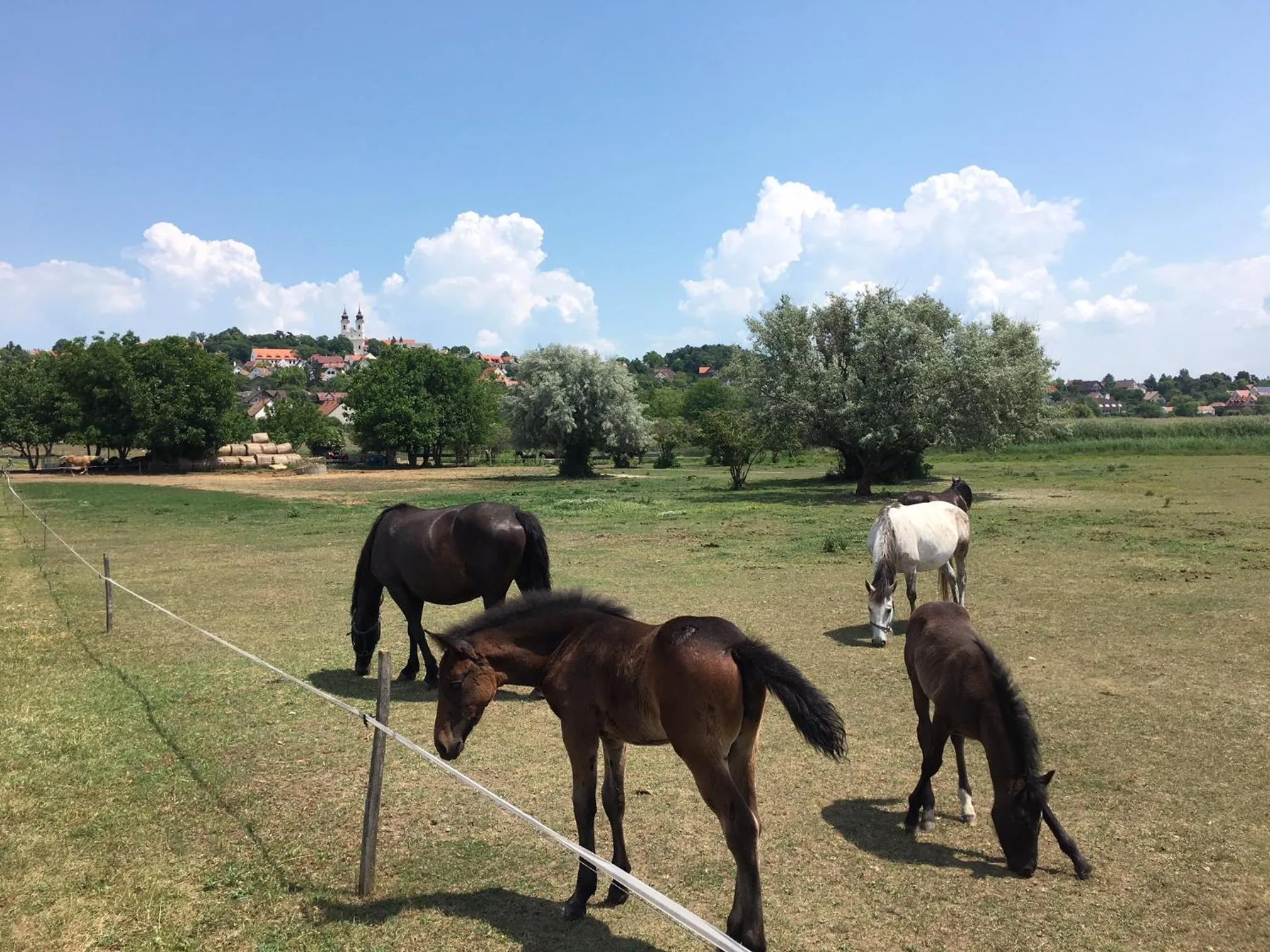 Nearby landmark in The Houses of History - anno 1830