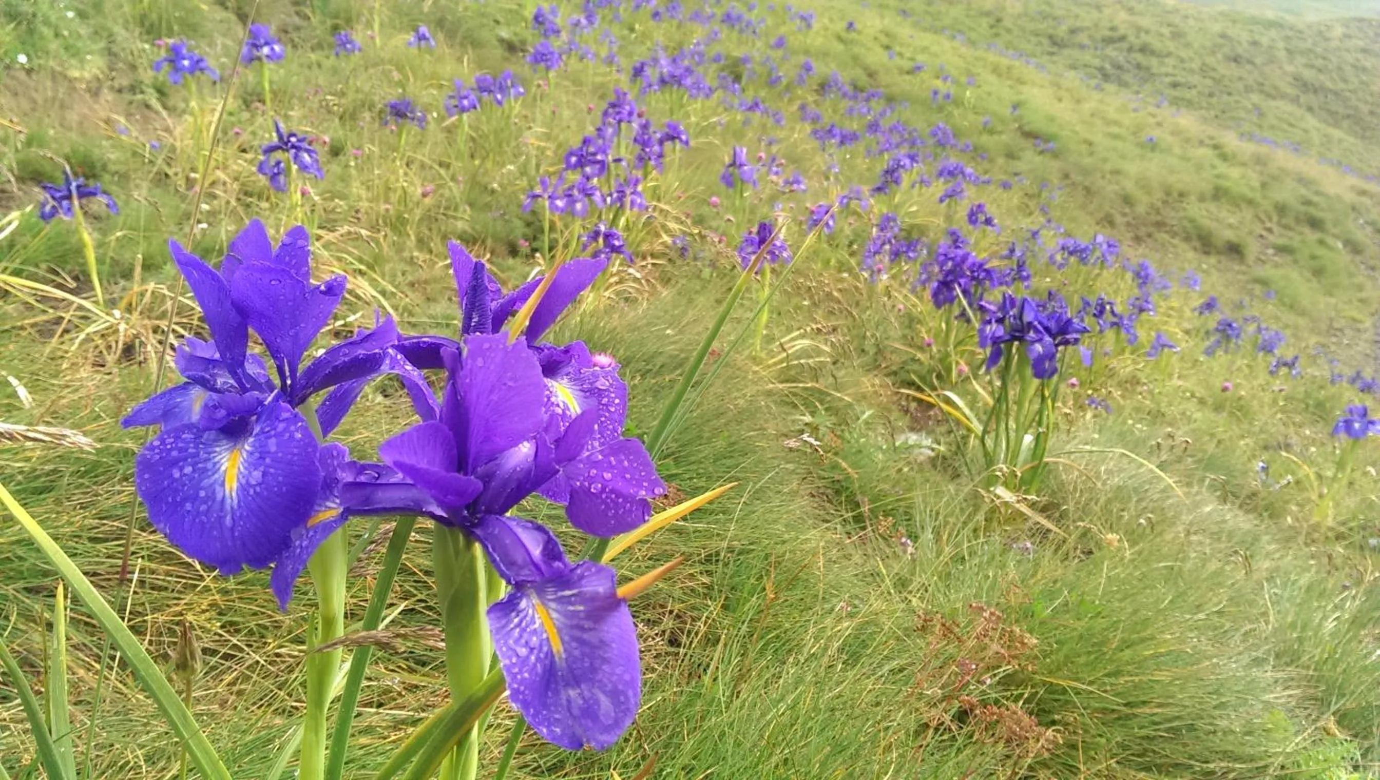 Apartamento en Sallent de Gallego