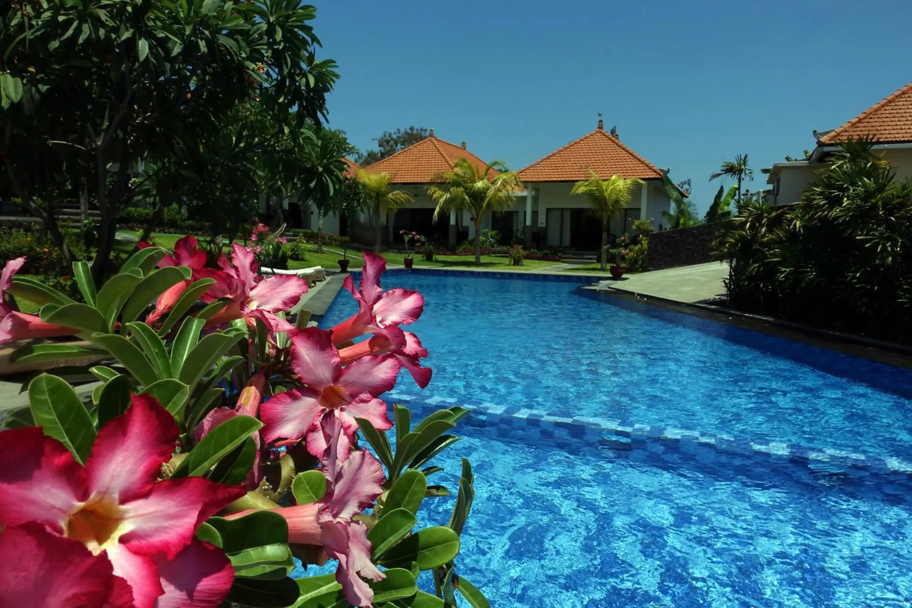 Day in Liberty Dive Resort Day in Liberty Dive Resort