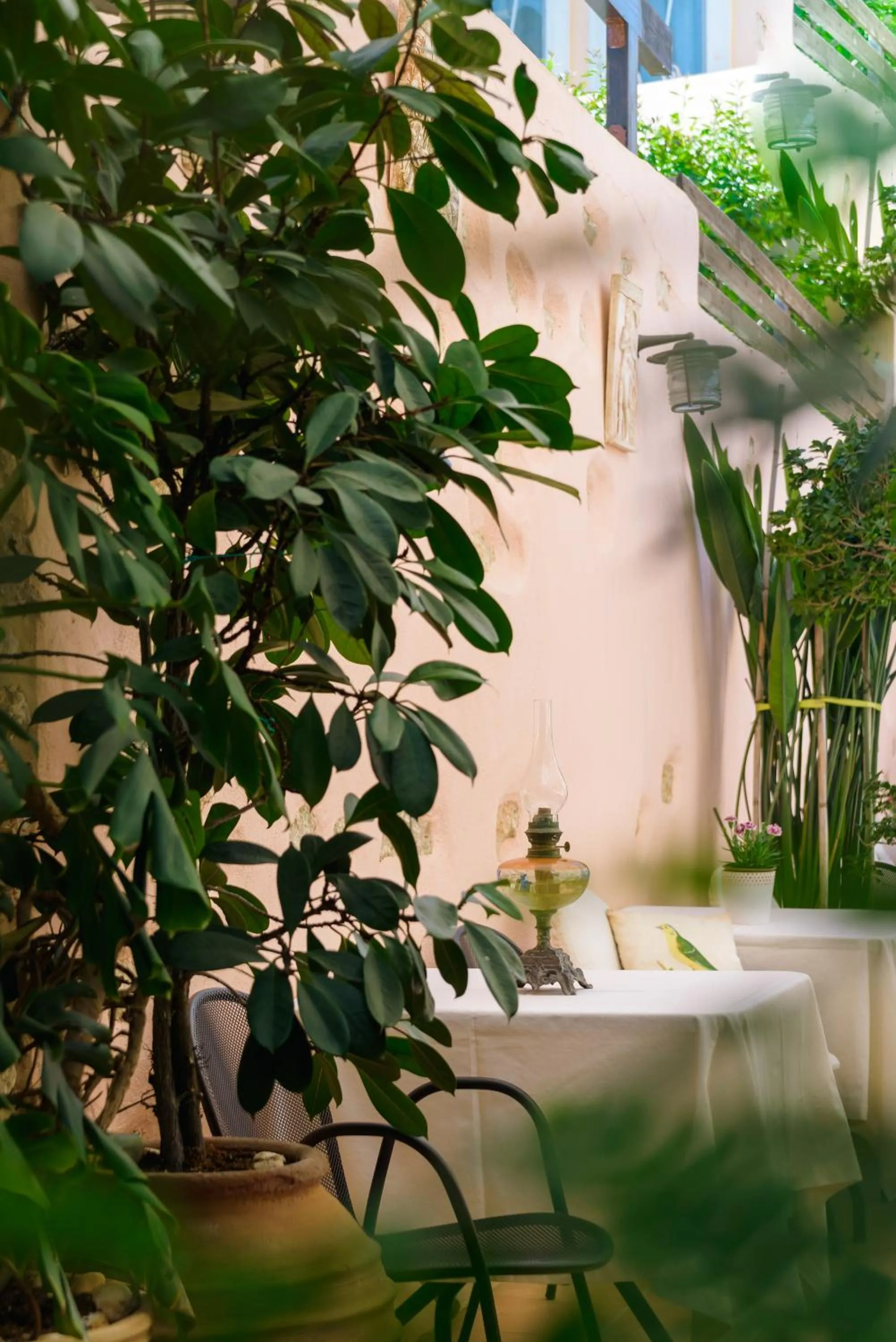 Garden in Casa Di Veneto