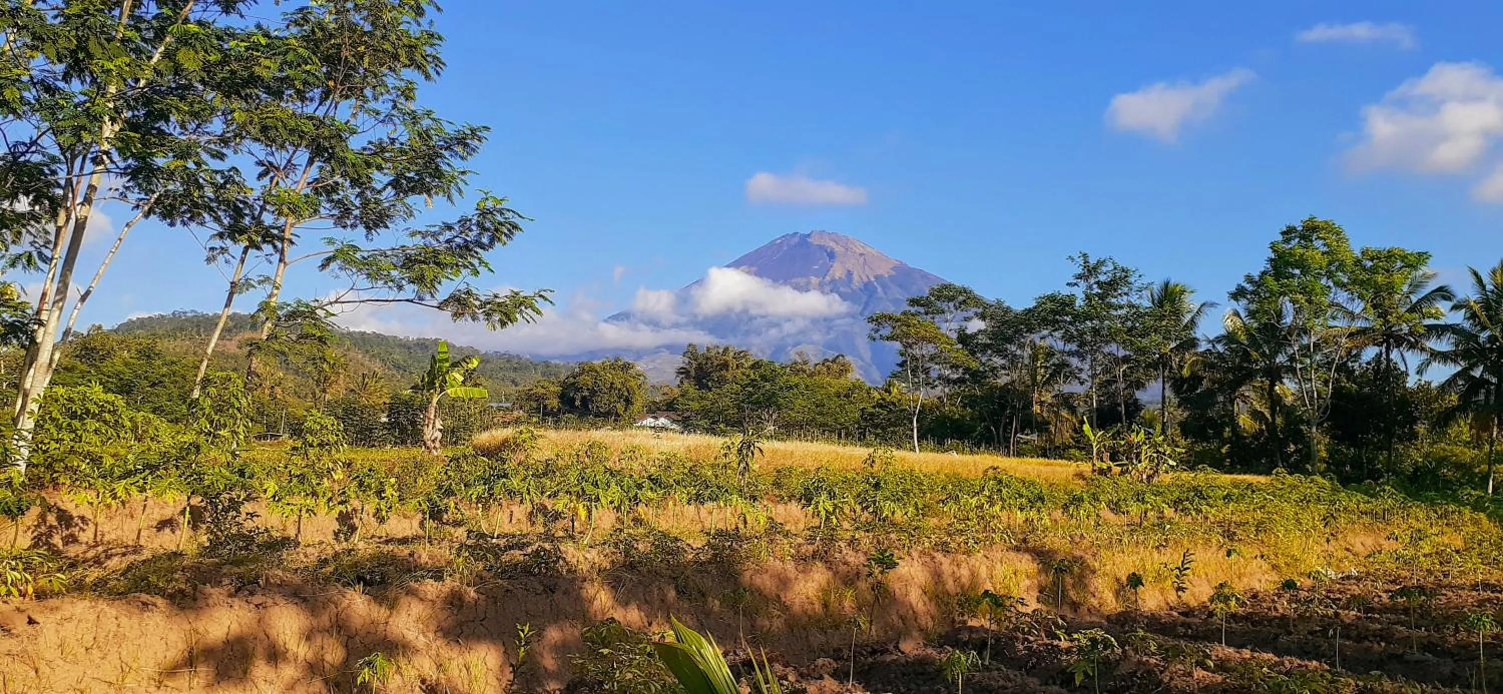 Natural landscape in Villa Sumbing Indah
