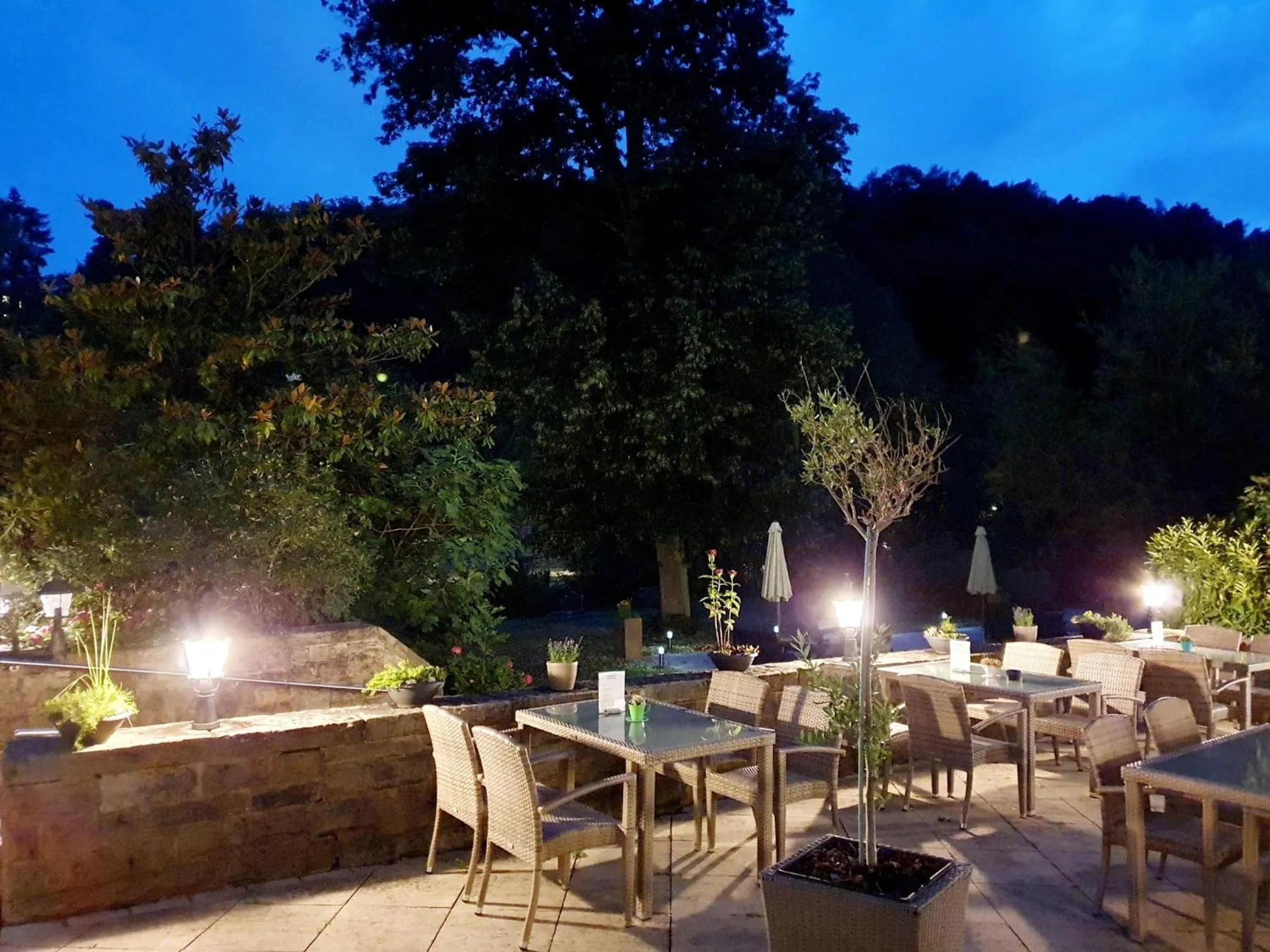 Garden in Hotel Kurparkblick