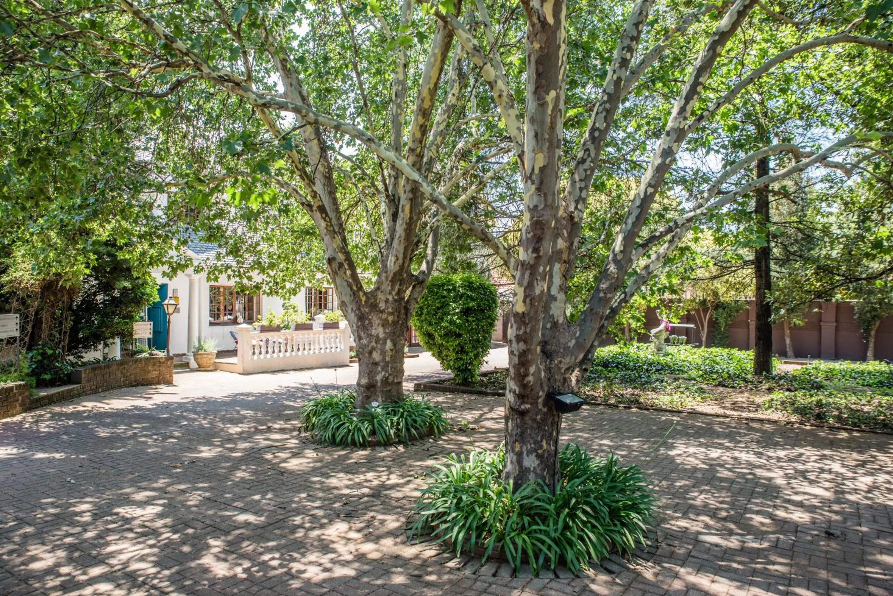 Property building in 5th Avenue Gooseberry Guest House