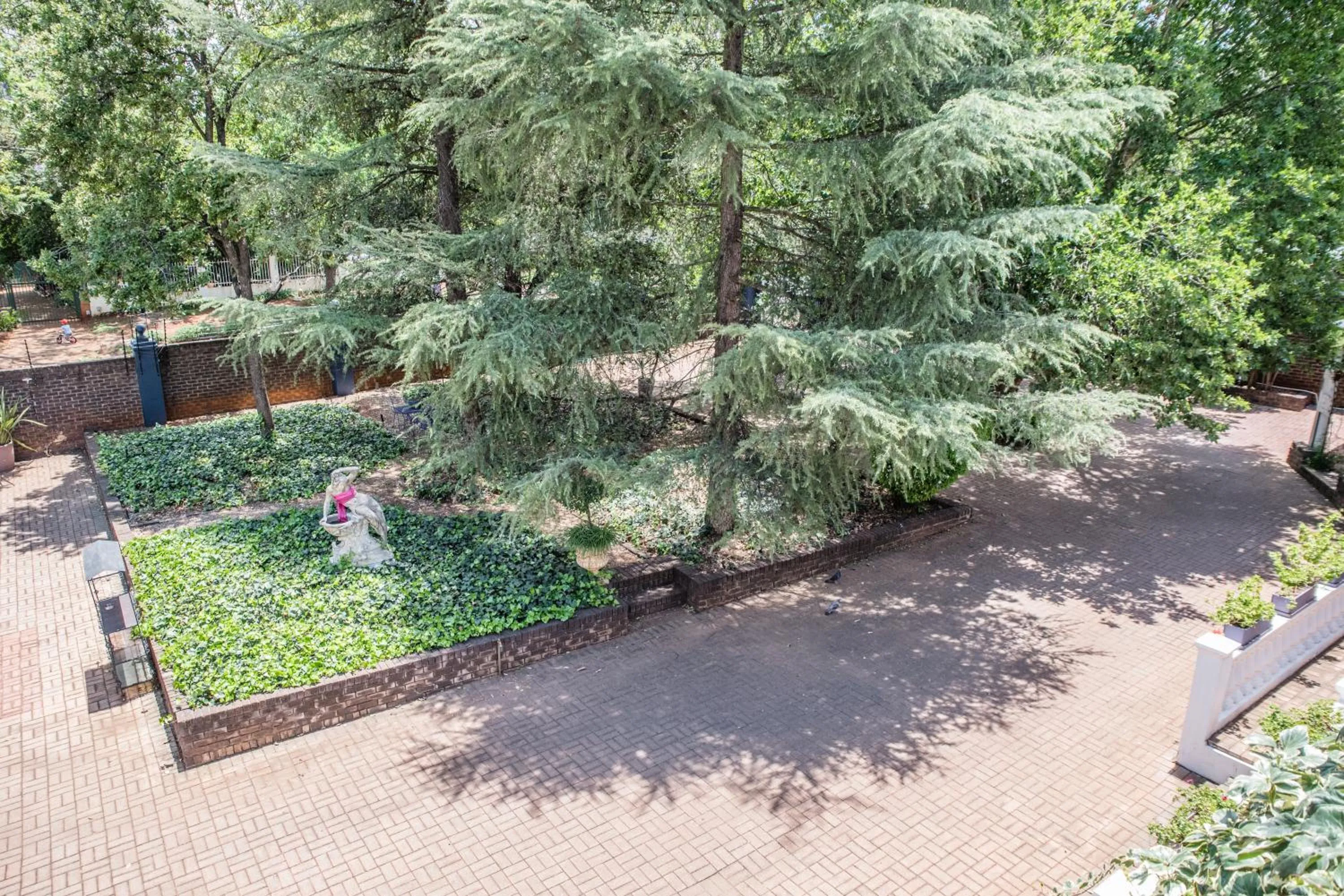 Garden in 5th Avenue Gooseberry Guest House