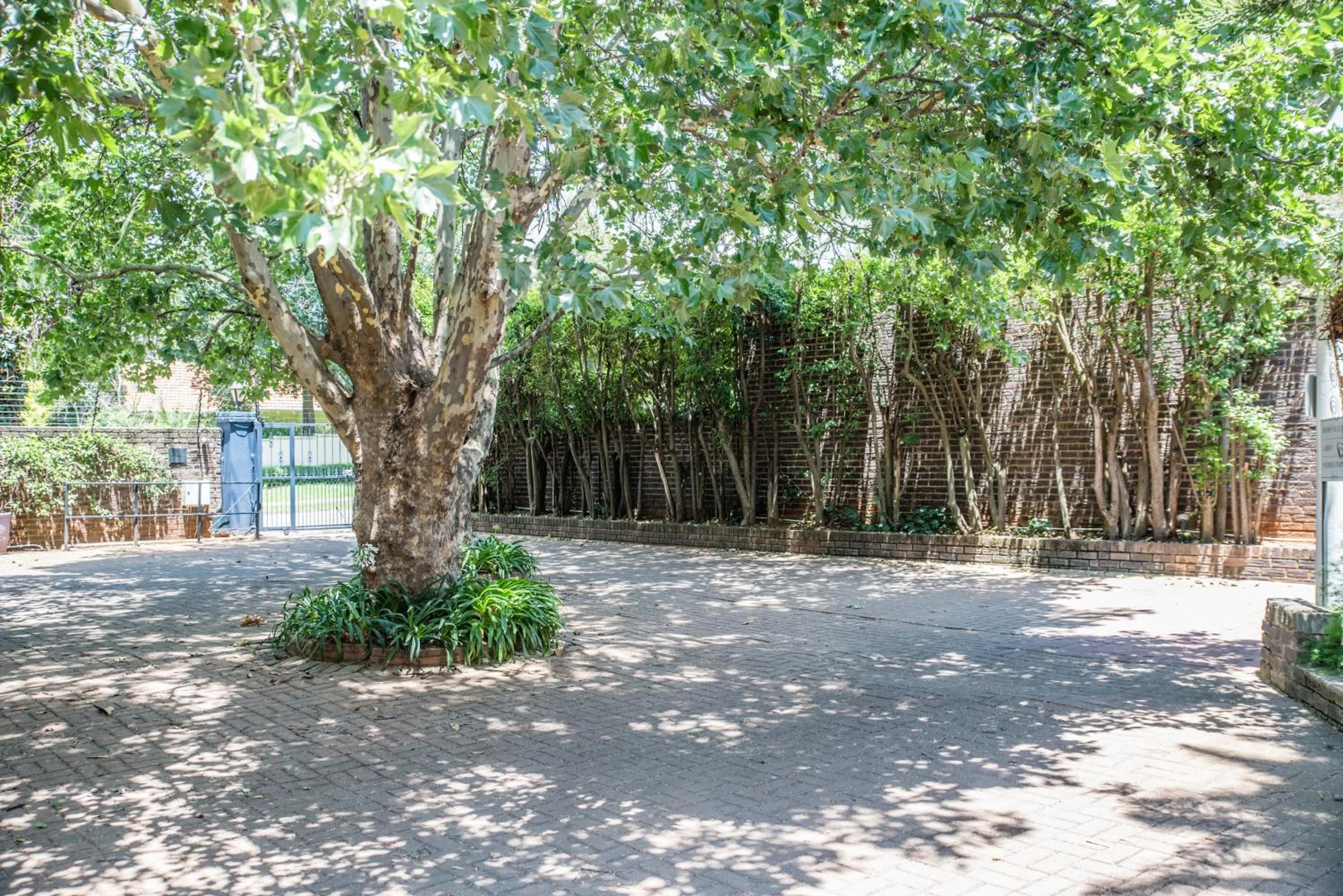 Parking in 5th Avenue Gooseberry Guest House