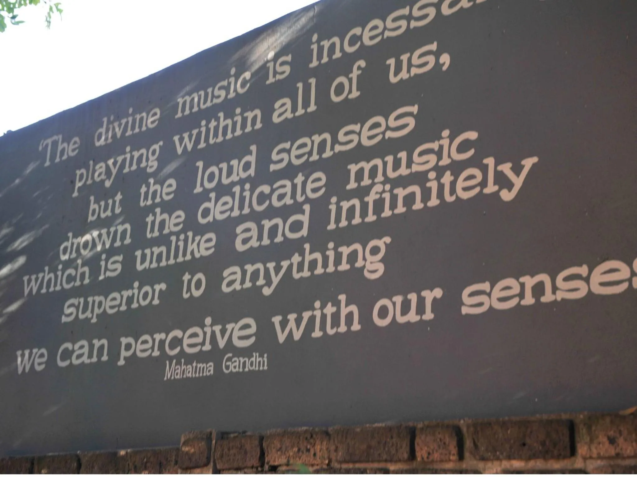 Garden in 5th Avenue Gooseberry Guest House