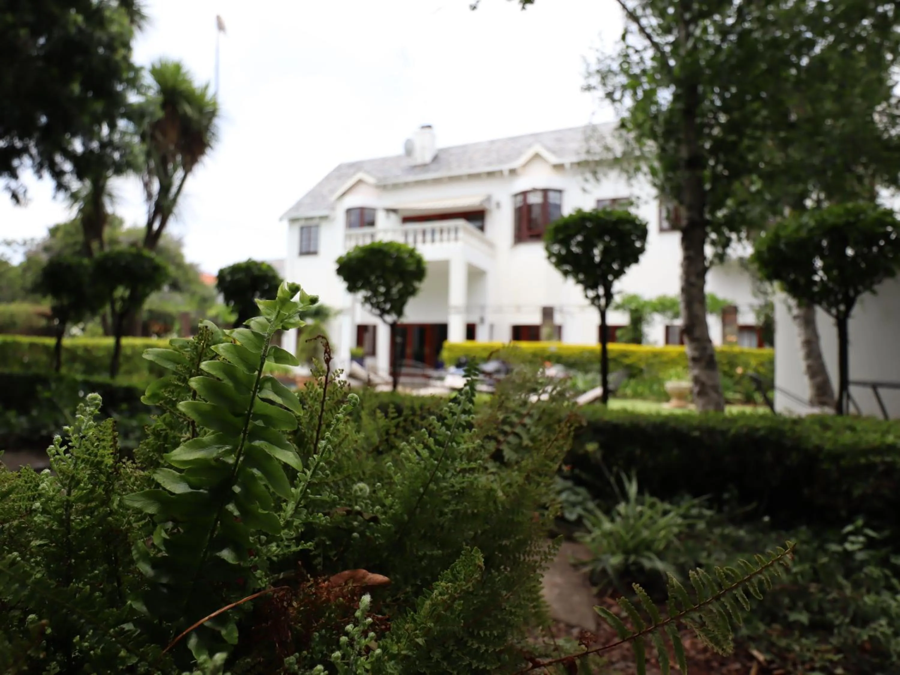 Property building in 5th Avenue Gooseberry Guest House