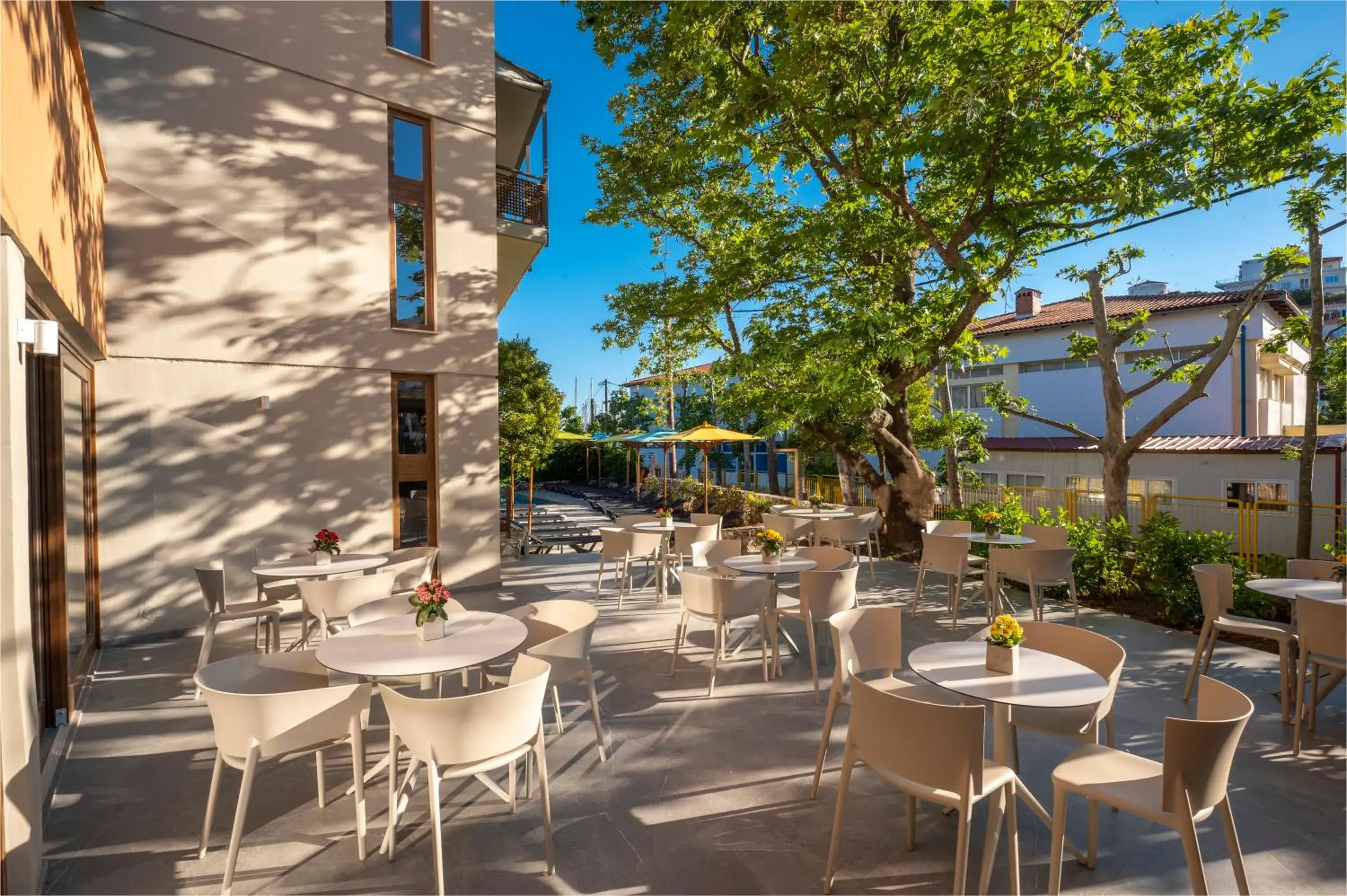 Lounge or bar in Alkyon Lounge or bar in Alkyon