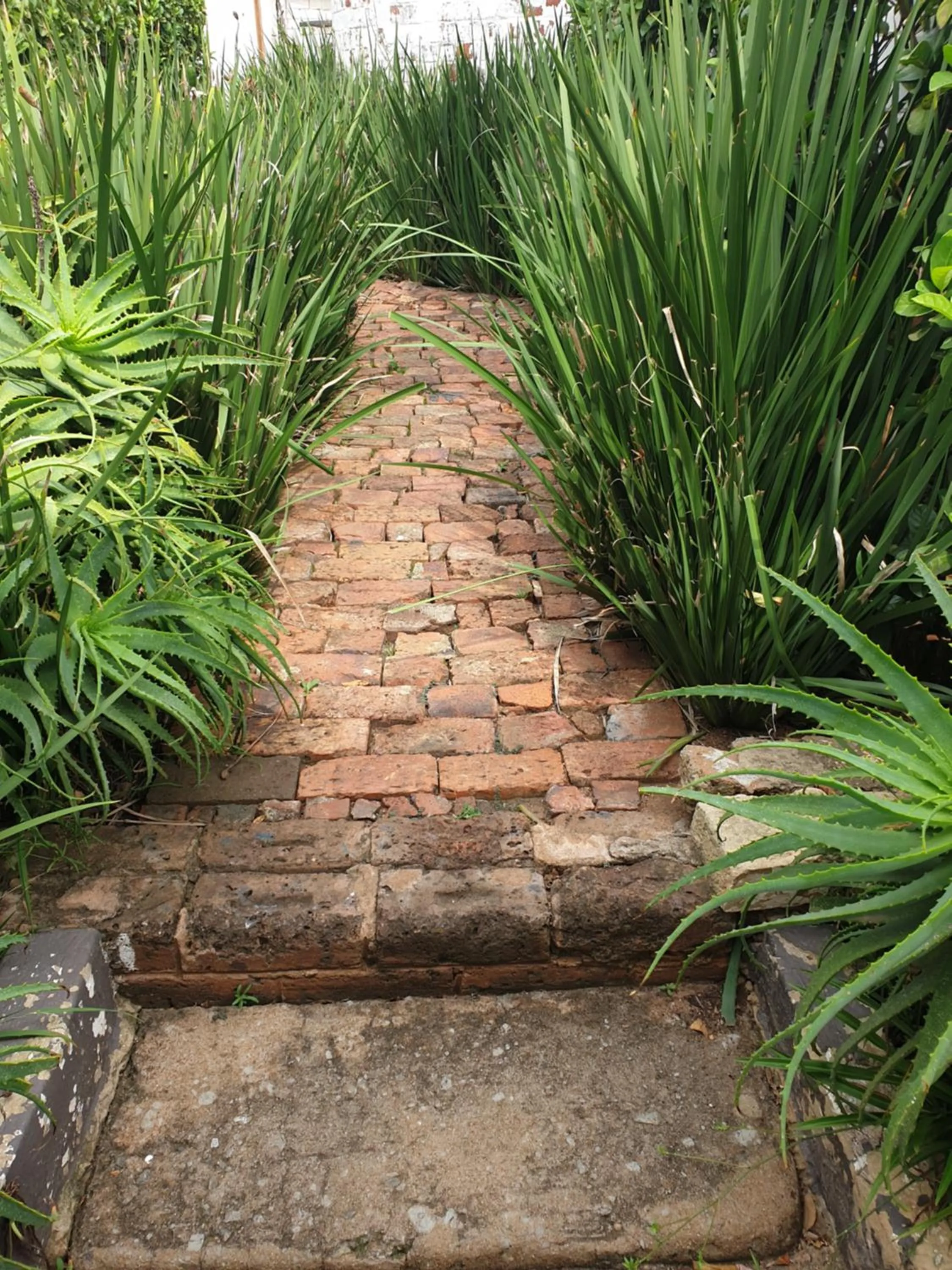 Property building in Motel Mi Pi Chi