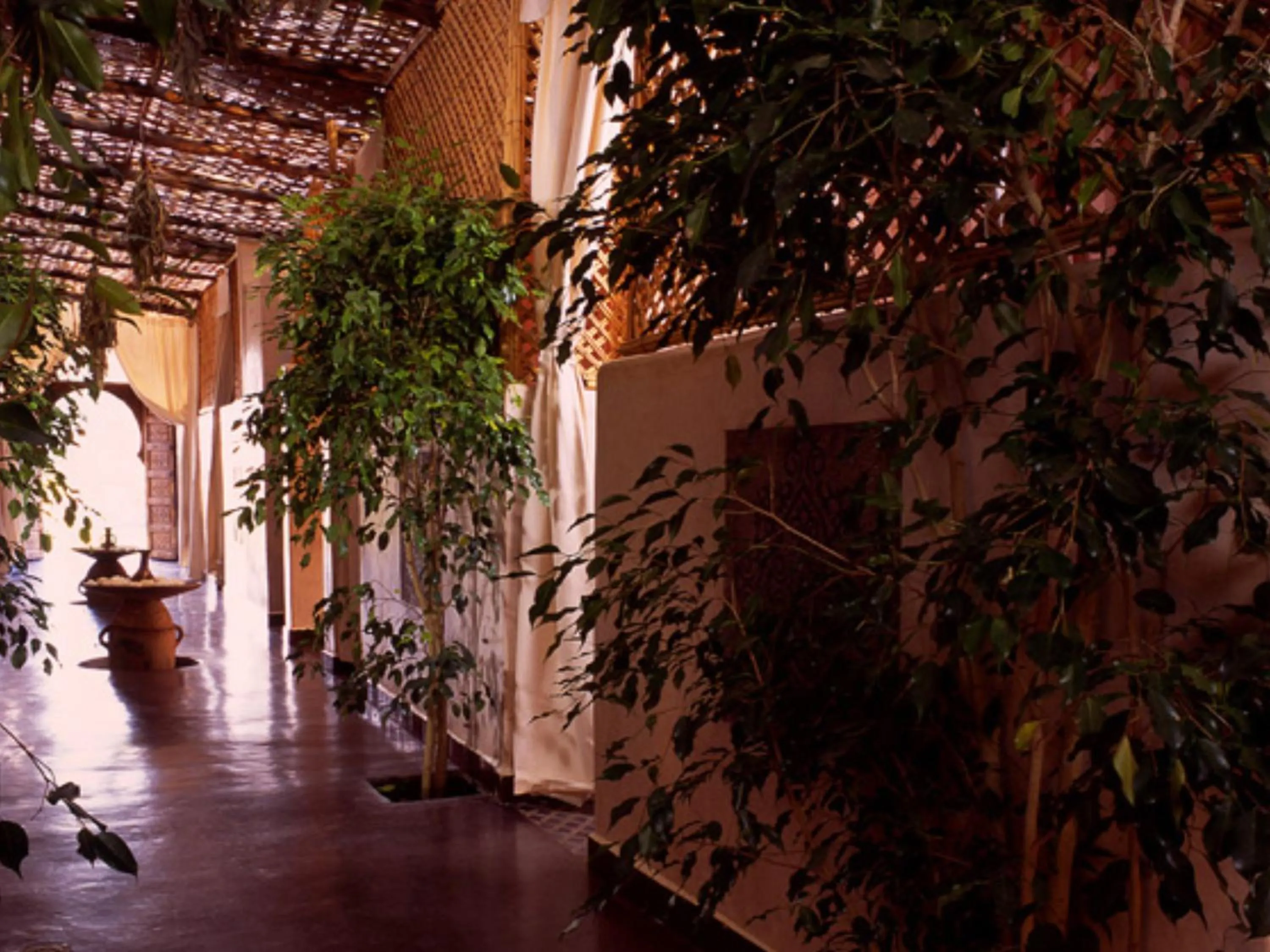 Garden in Kasbah Agafay Hotel & Spa