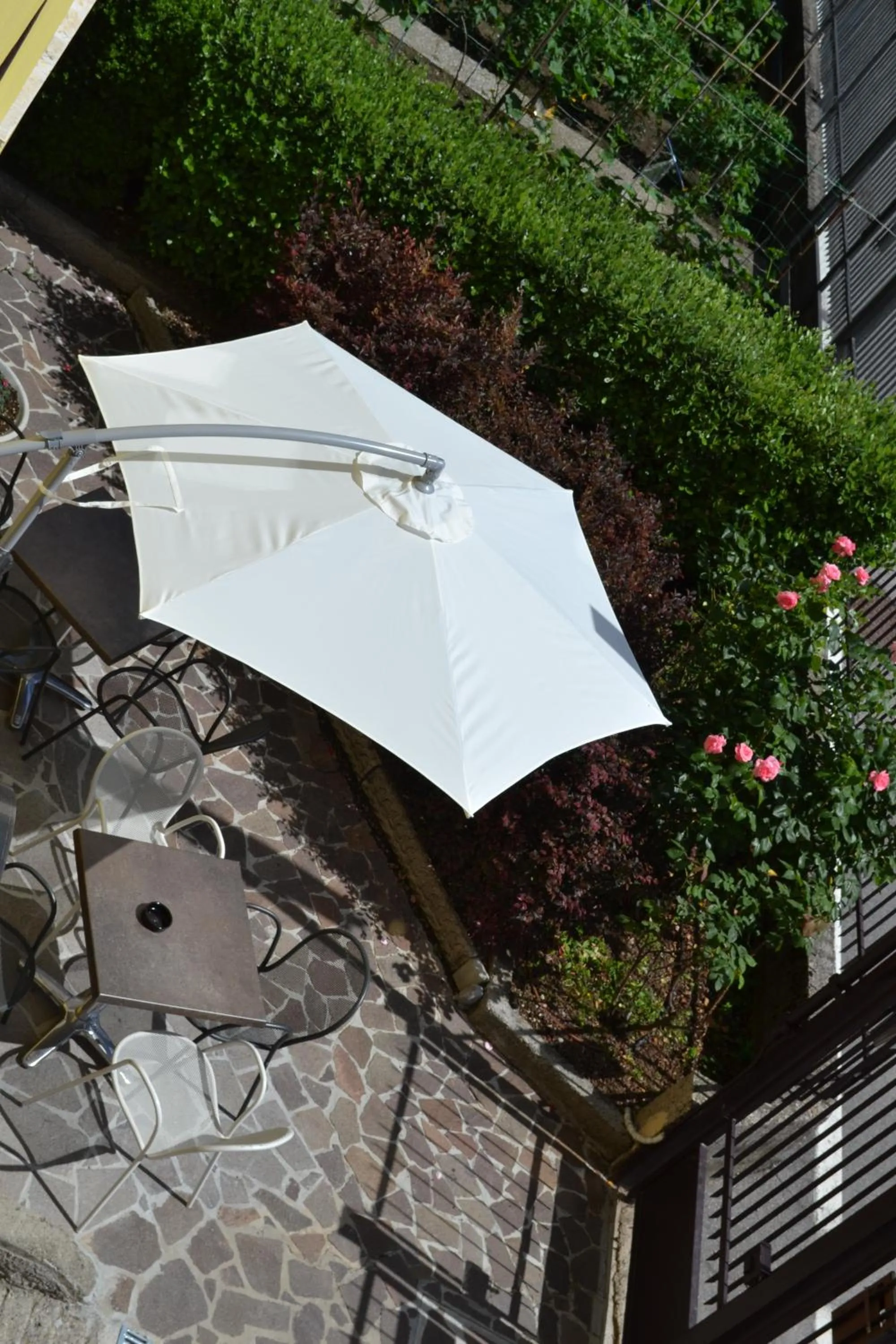 Balcony/Terrace in Hotel Villa Rina