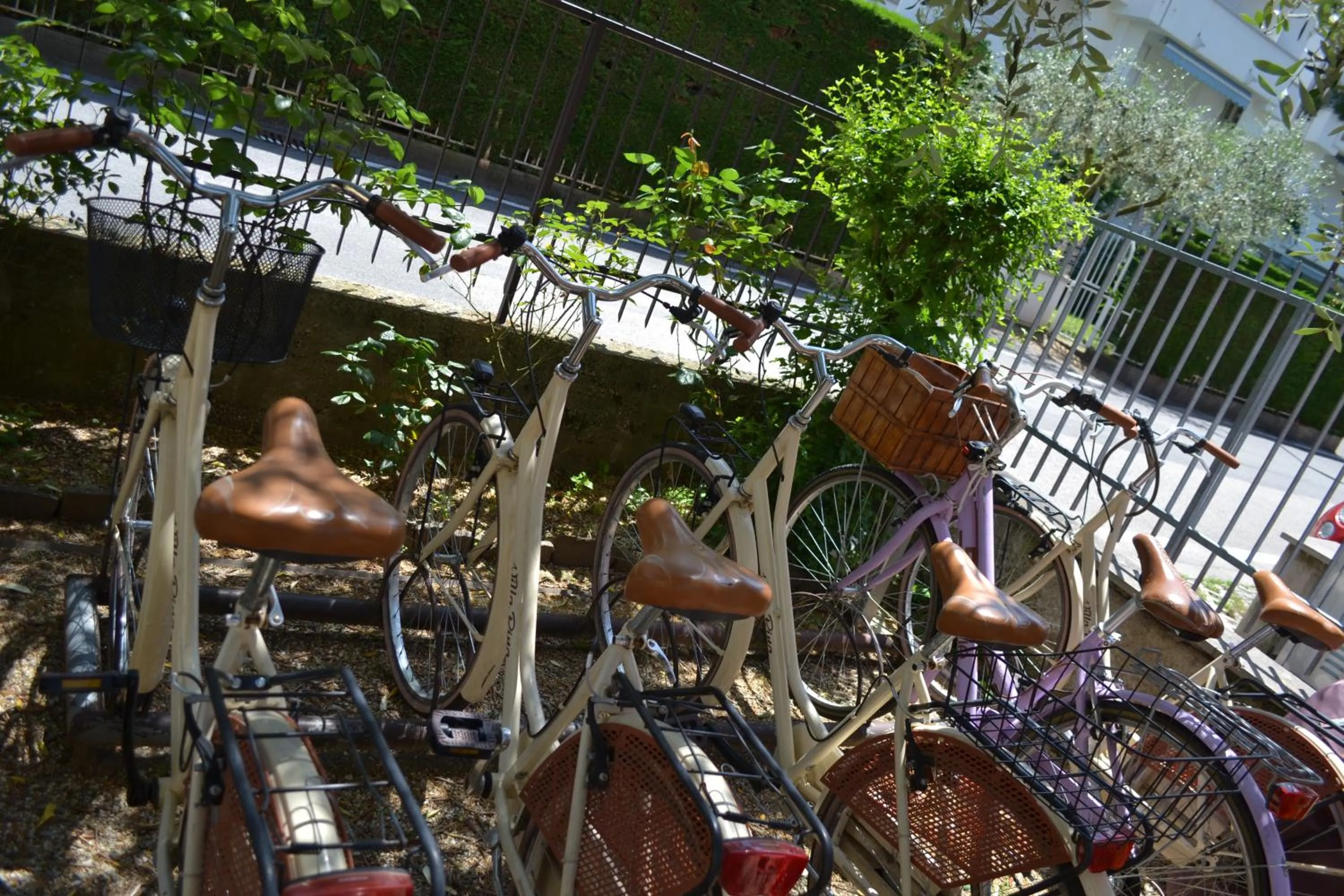 Area and facilities in Hotel Villa Rina