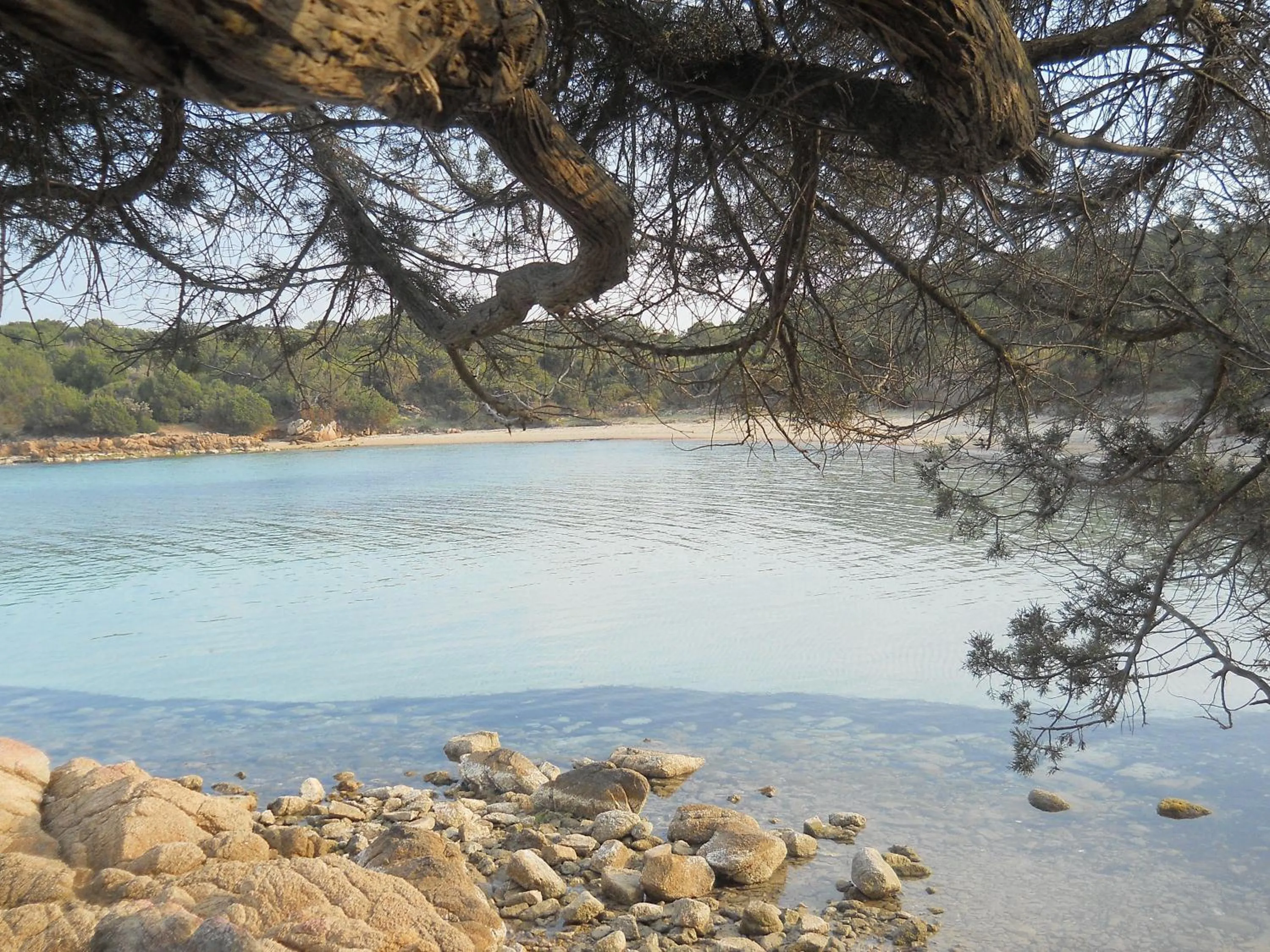 Day in La Quercia della Gallura