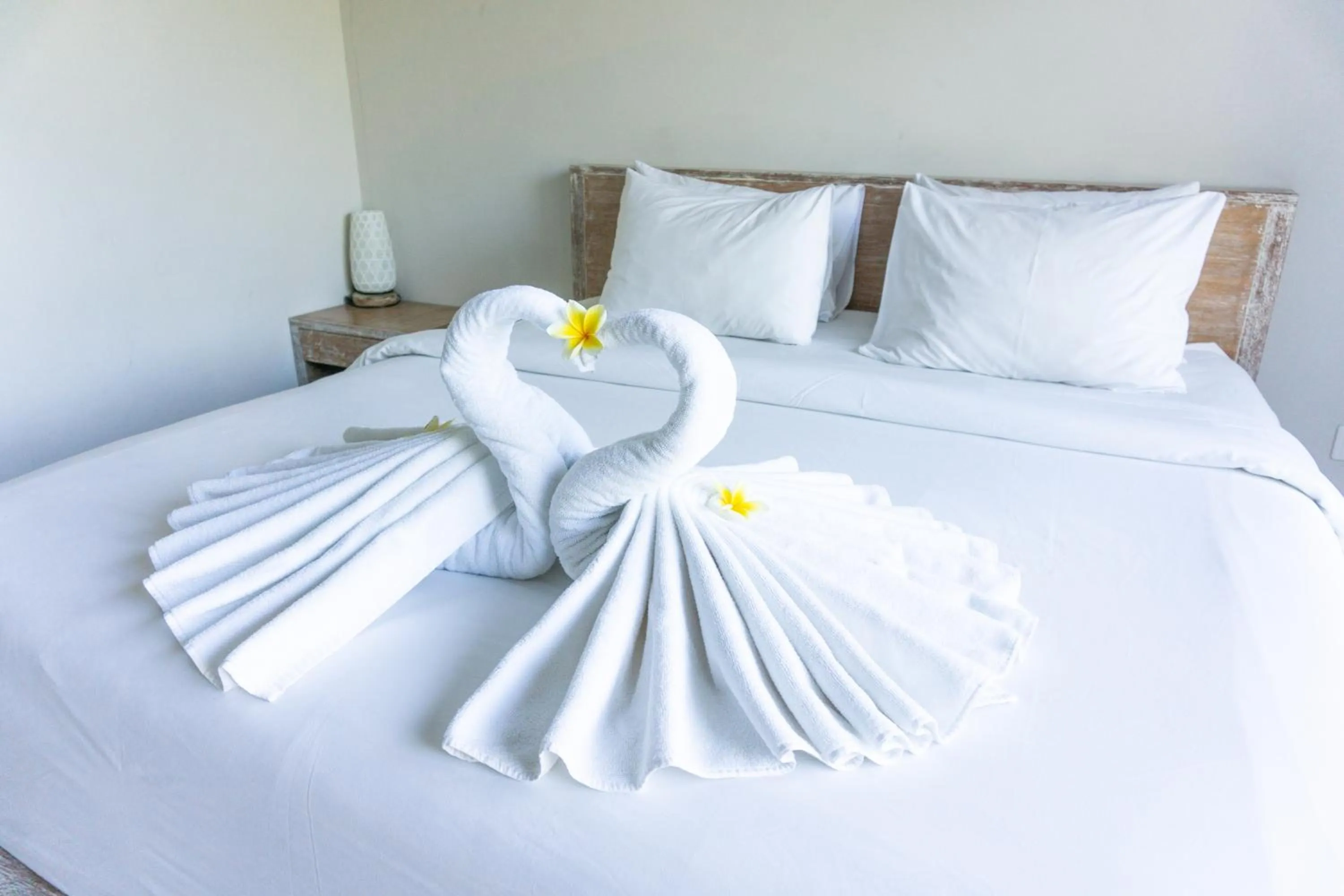 Bed in Matra Co Working & Co Living