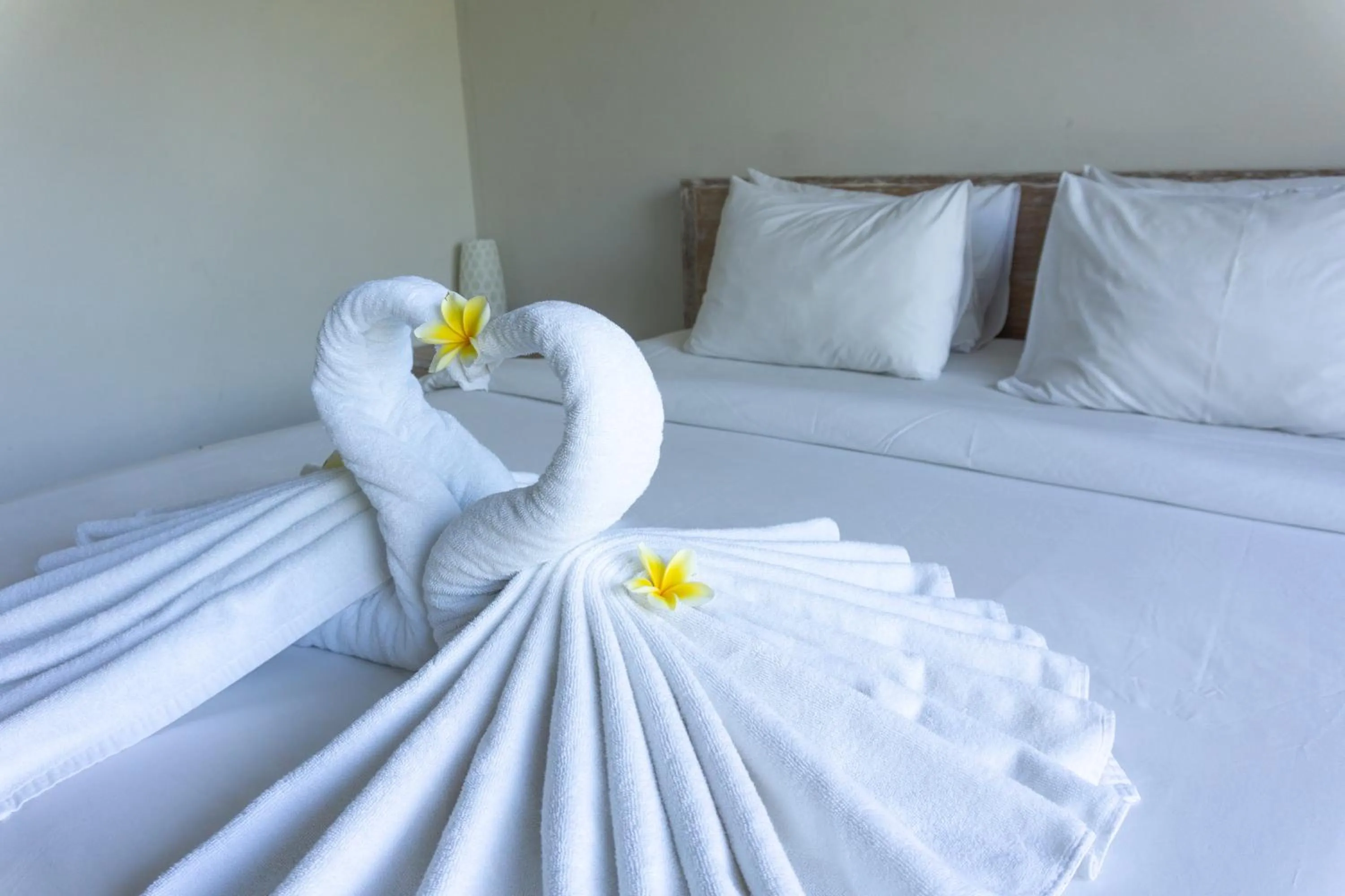 Bed in Matra Co Working & Co Living