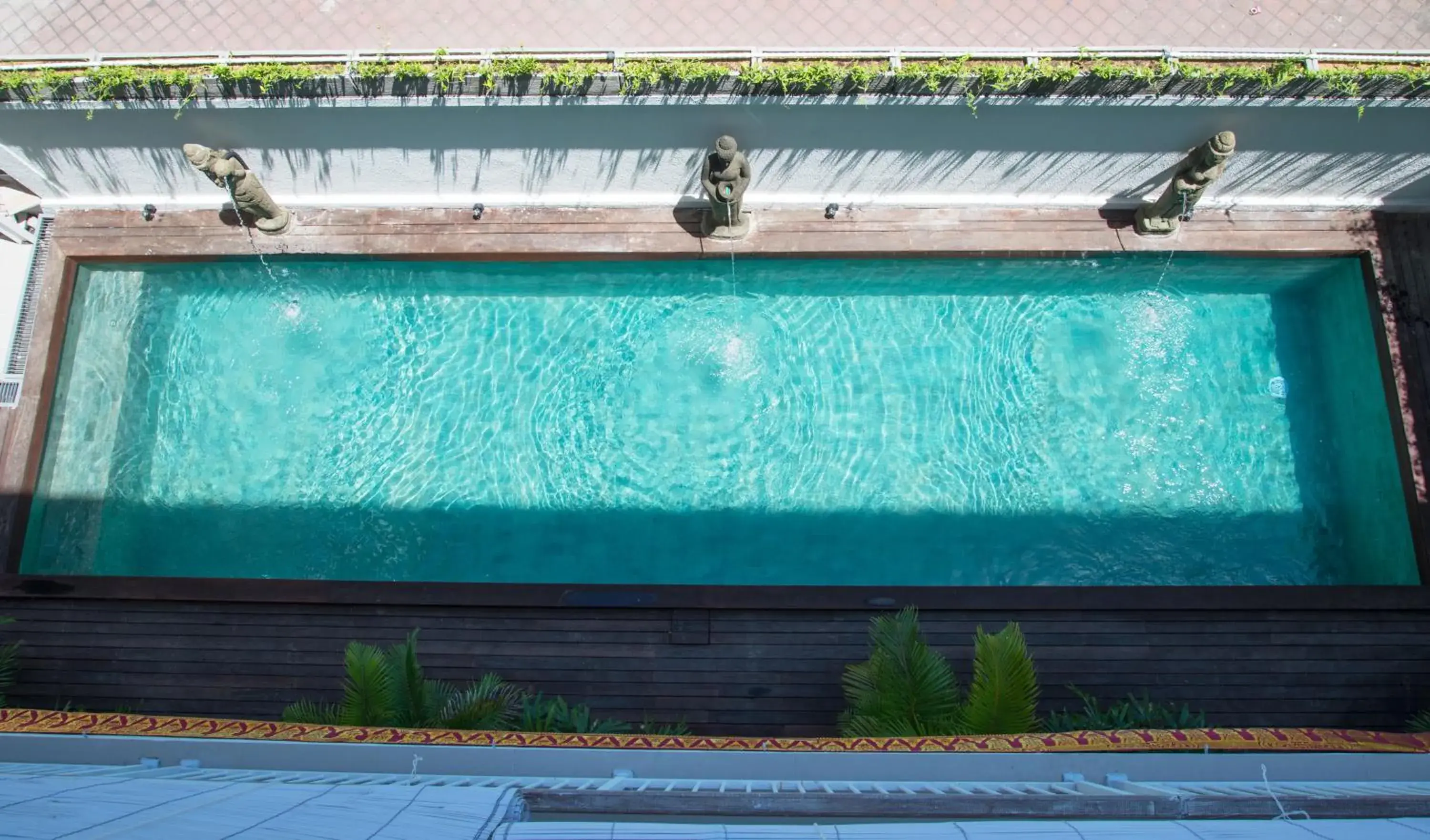 Pool view in Matra Co Working & Co Living Pool view in Matra Co Working & Co Living