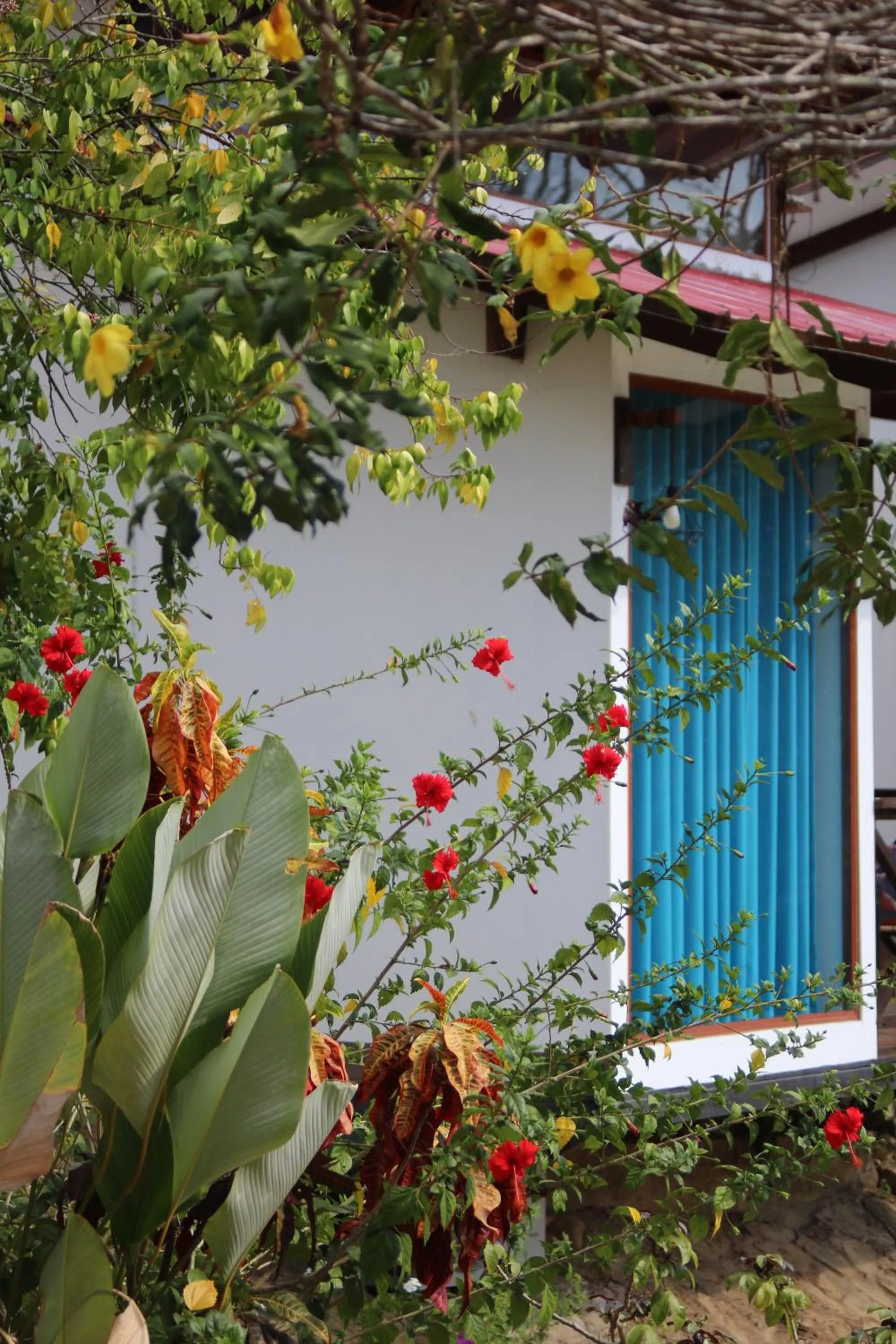 Balcony/Terrace in Hacienda Don Vicente Bungalows-Tarapoto