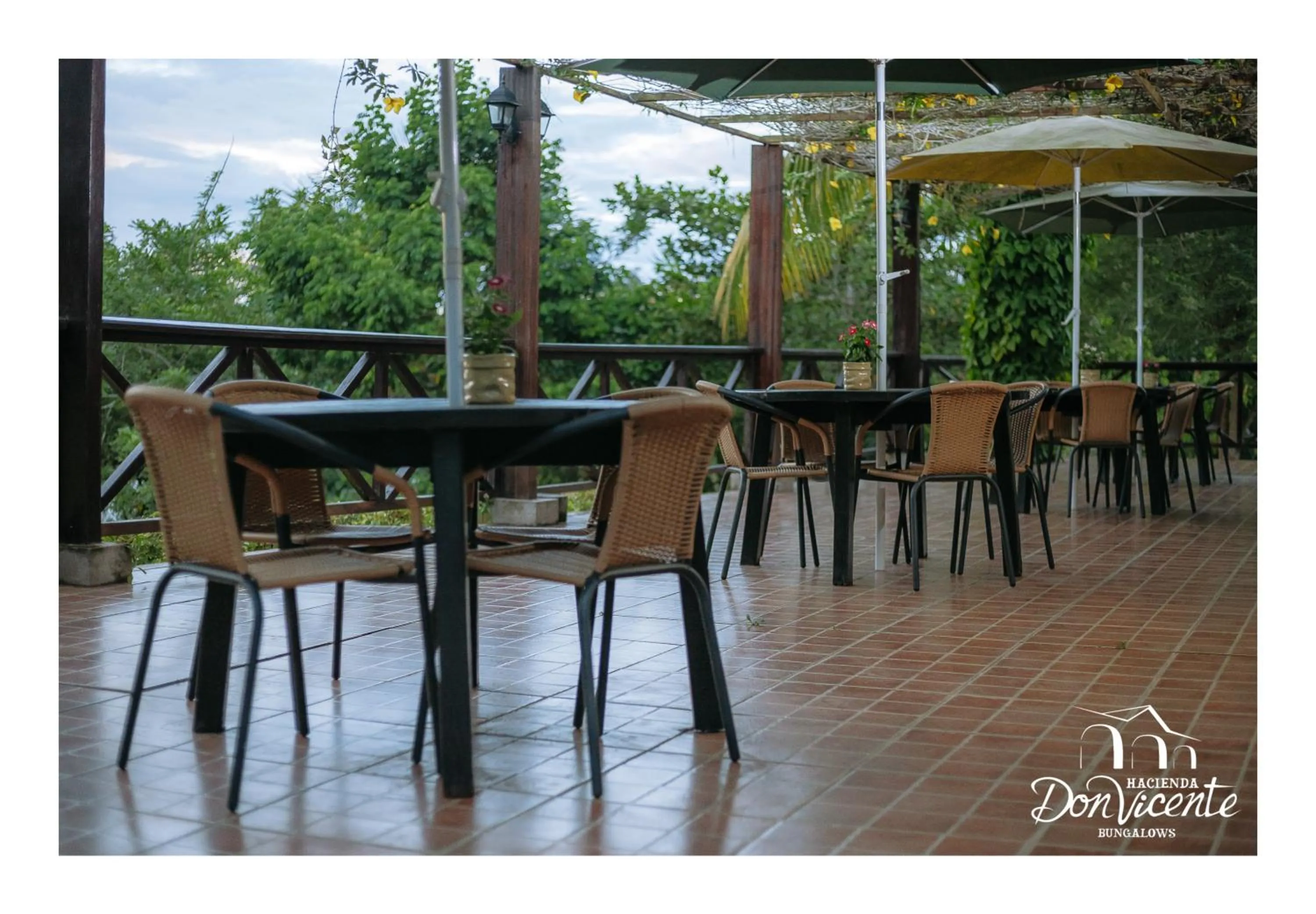 Natural landscape in Hacienda Don Vicente Bungalows-Tarapoto