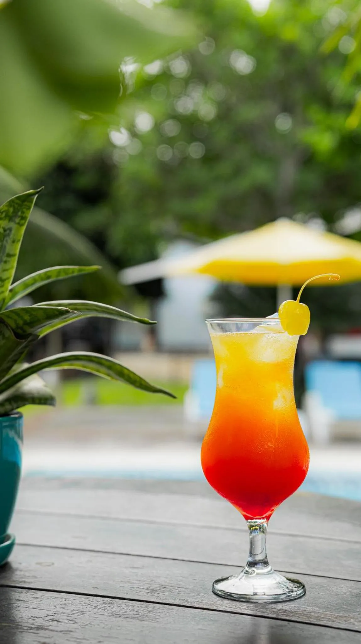 Alcoholic drinks in Hacienda Don Vicente Bungalows-Tarapoto