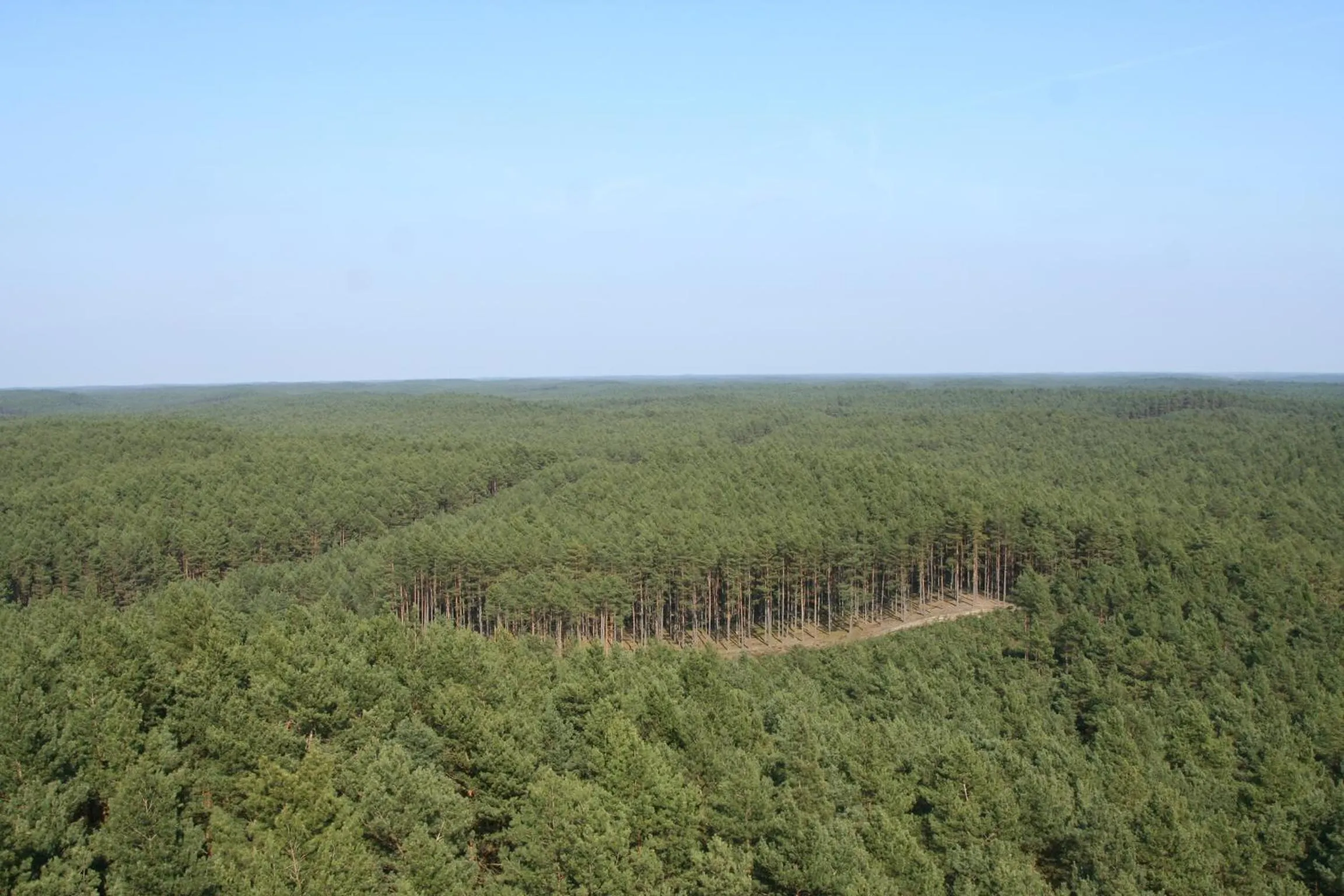 Summer in Hotel Kama Park