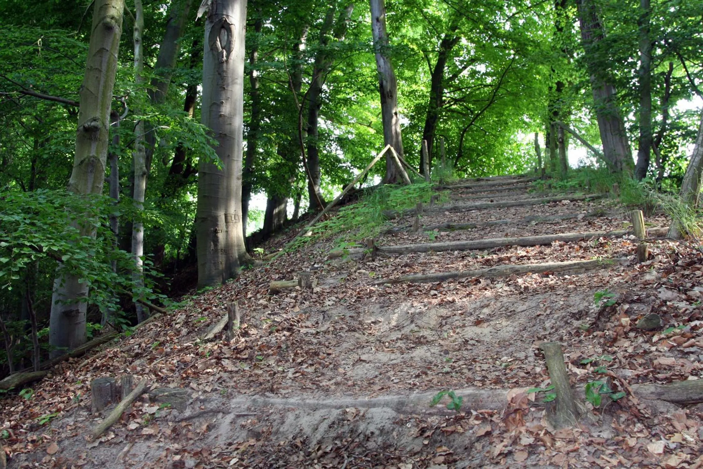 Spring in Hotel Kama Park