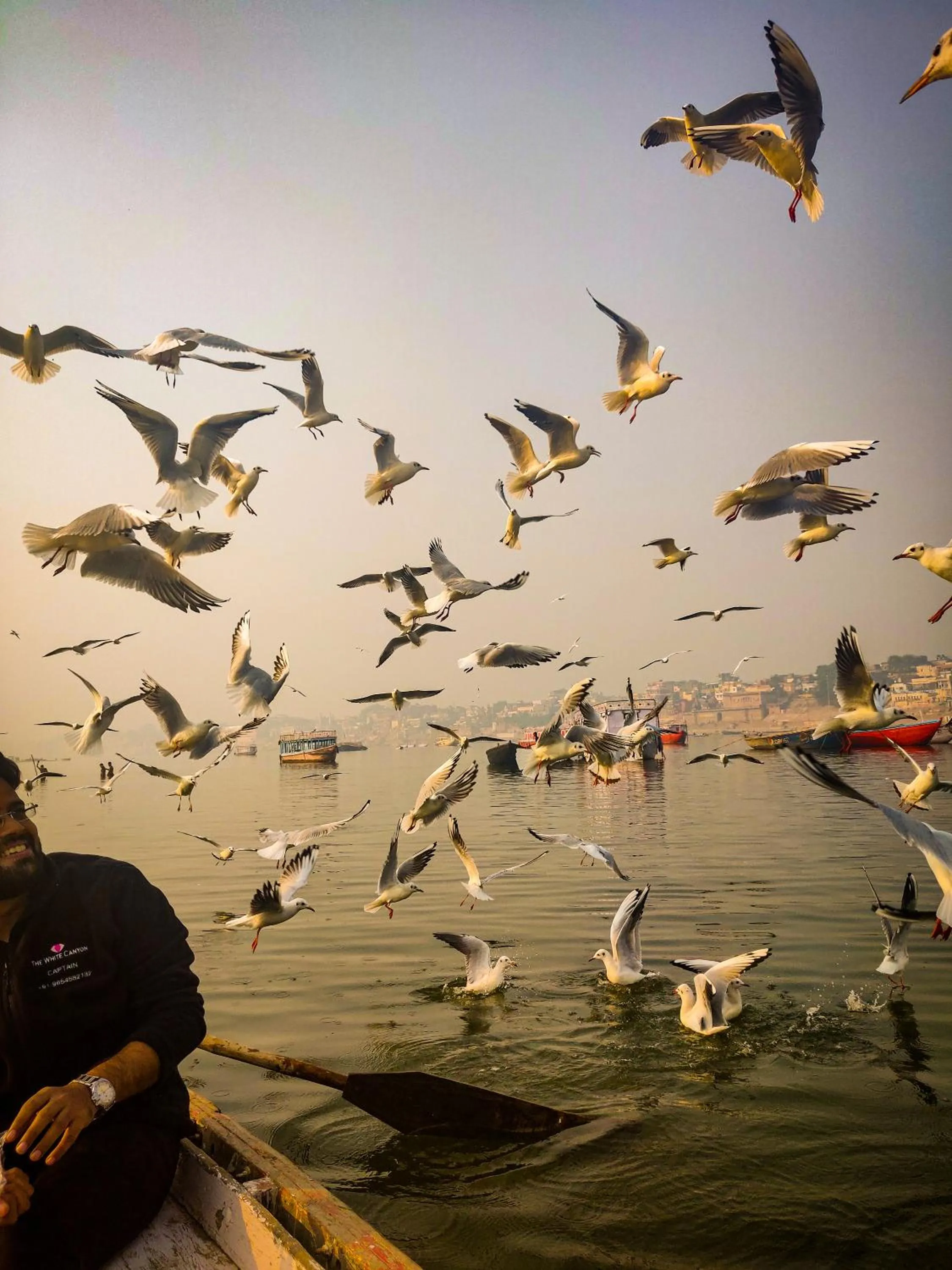People in The White Canyon