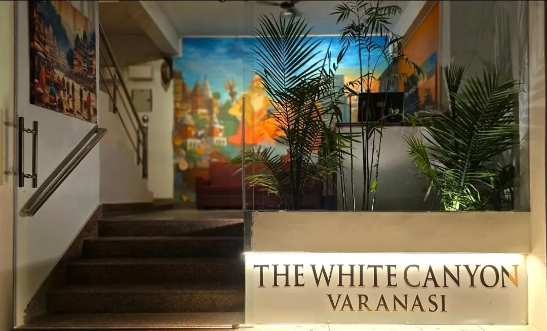 Property building in The White Canyon