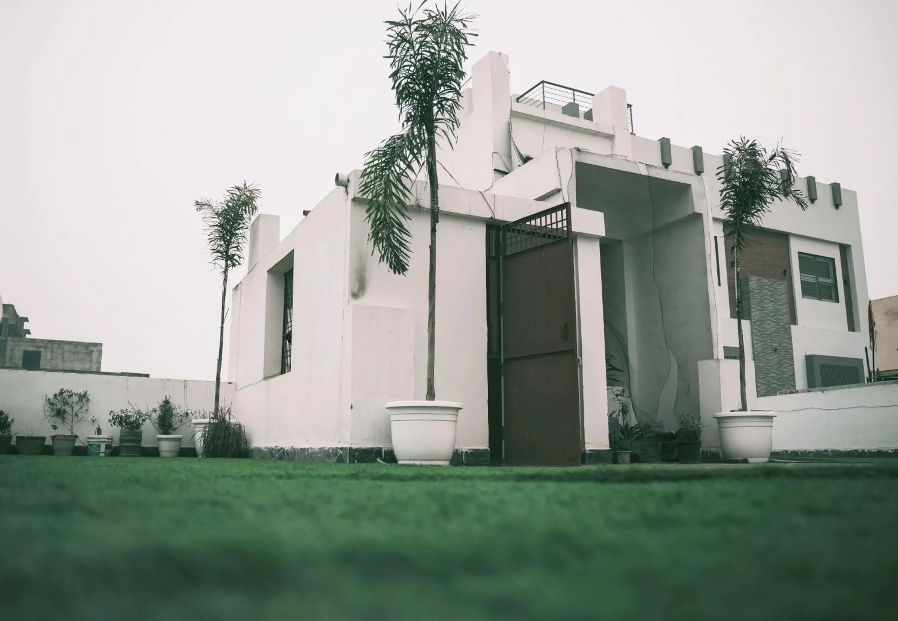 Garden in The White Canyon