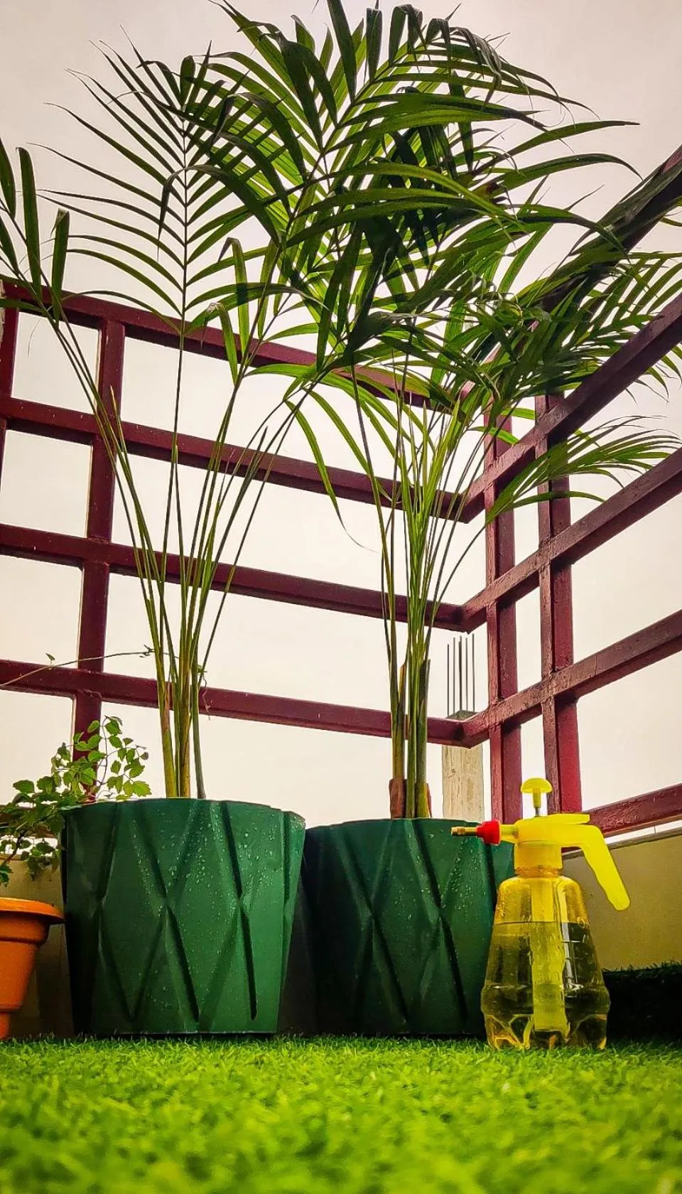 Day in The White Canyon