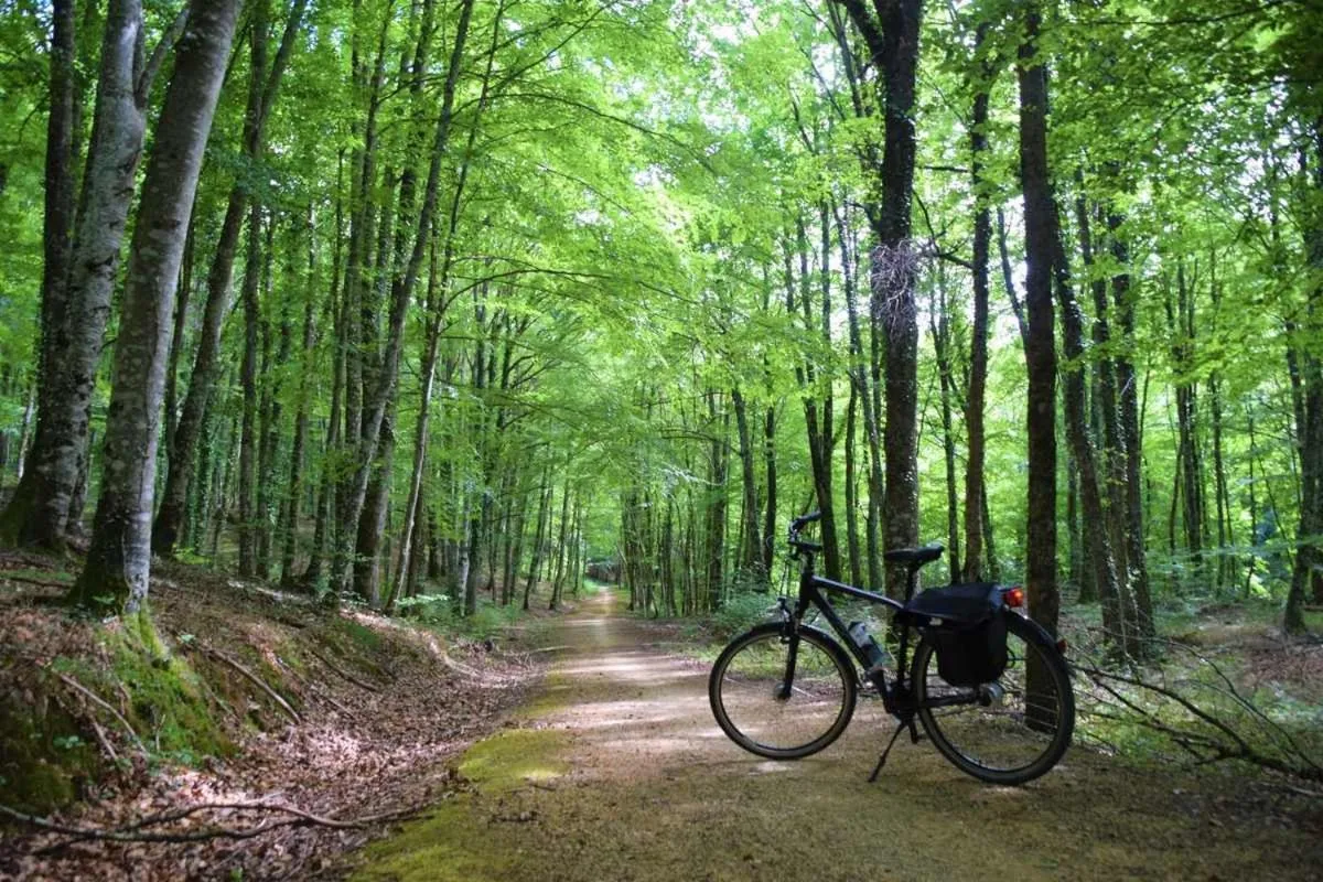 Activities in Hotel La Fonda De La Estación