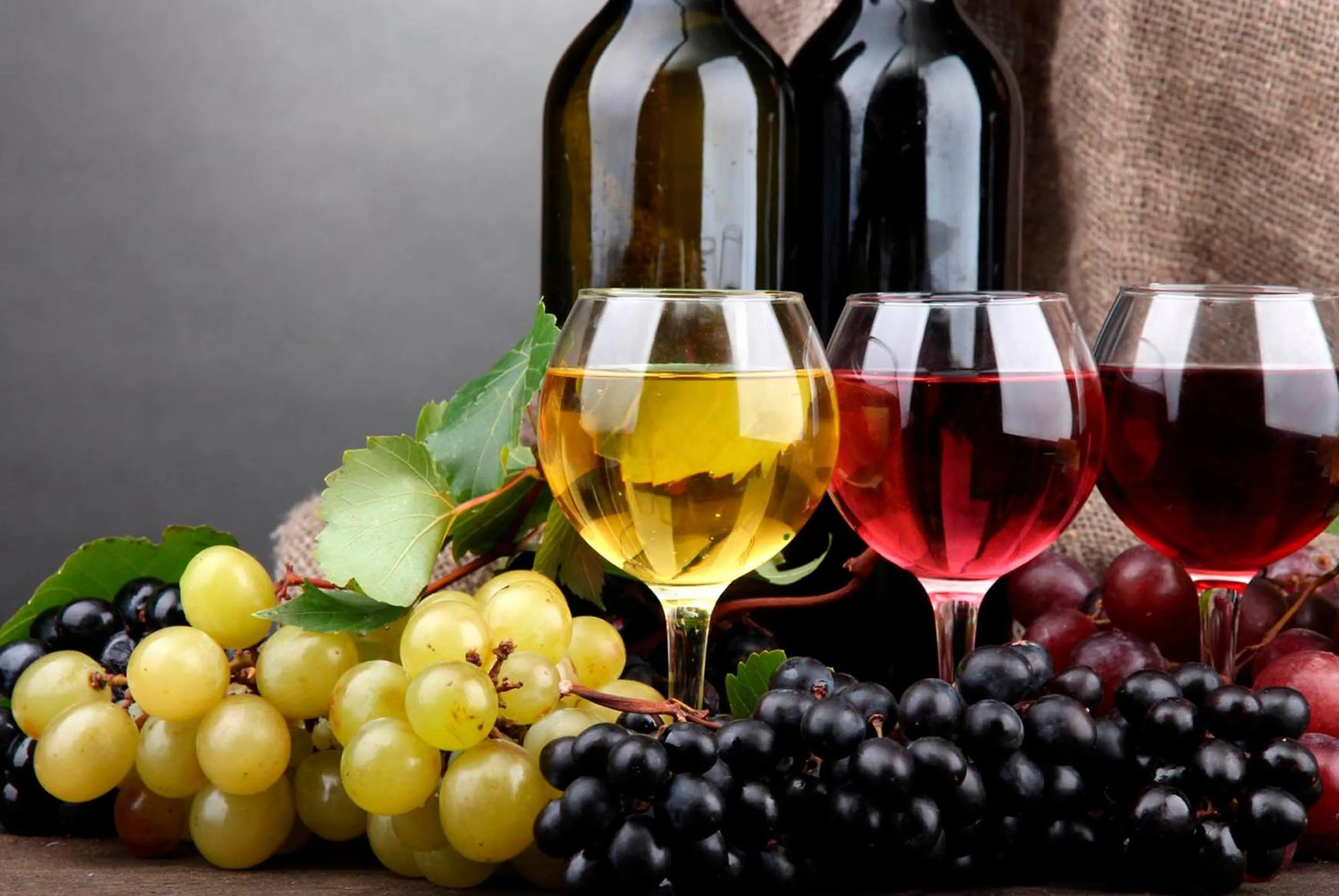 Alcoholic drinks in The Wooden House Hotel