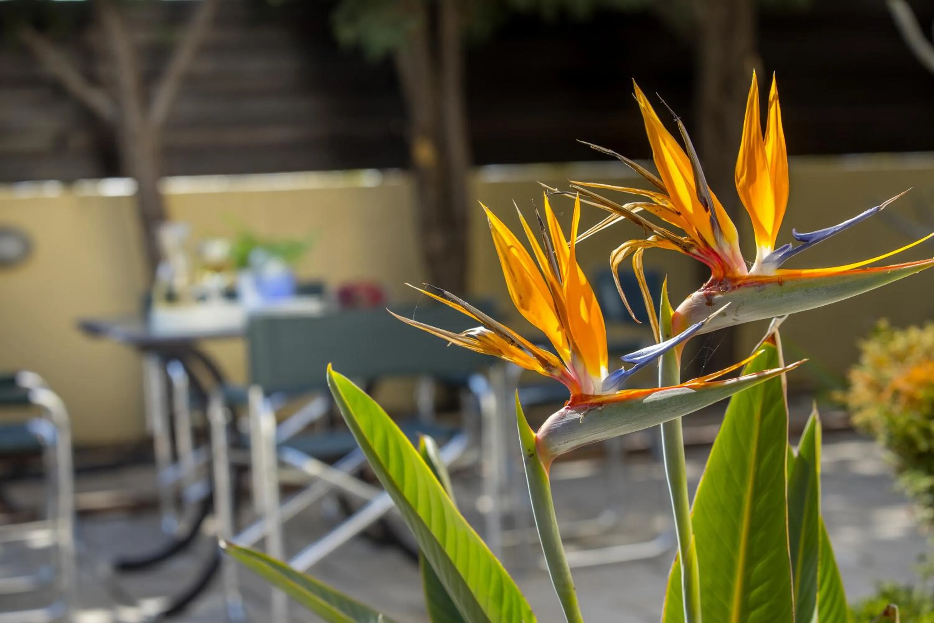 Ayia Napa Tropical Beach Villa