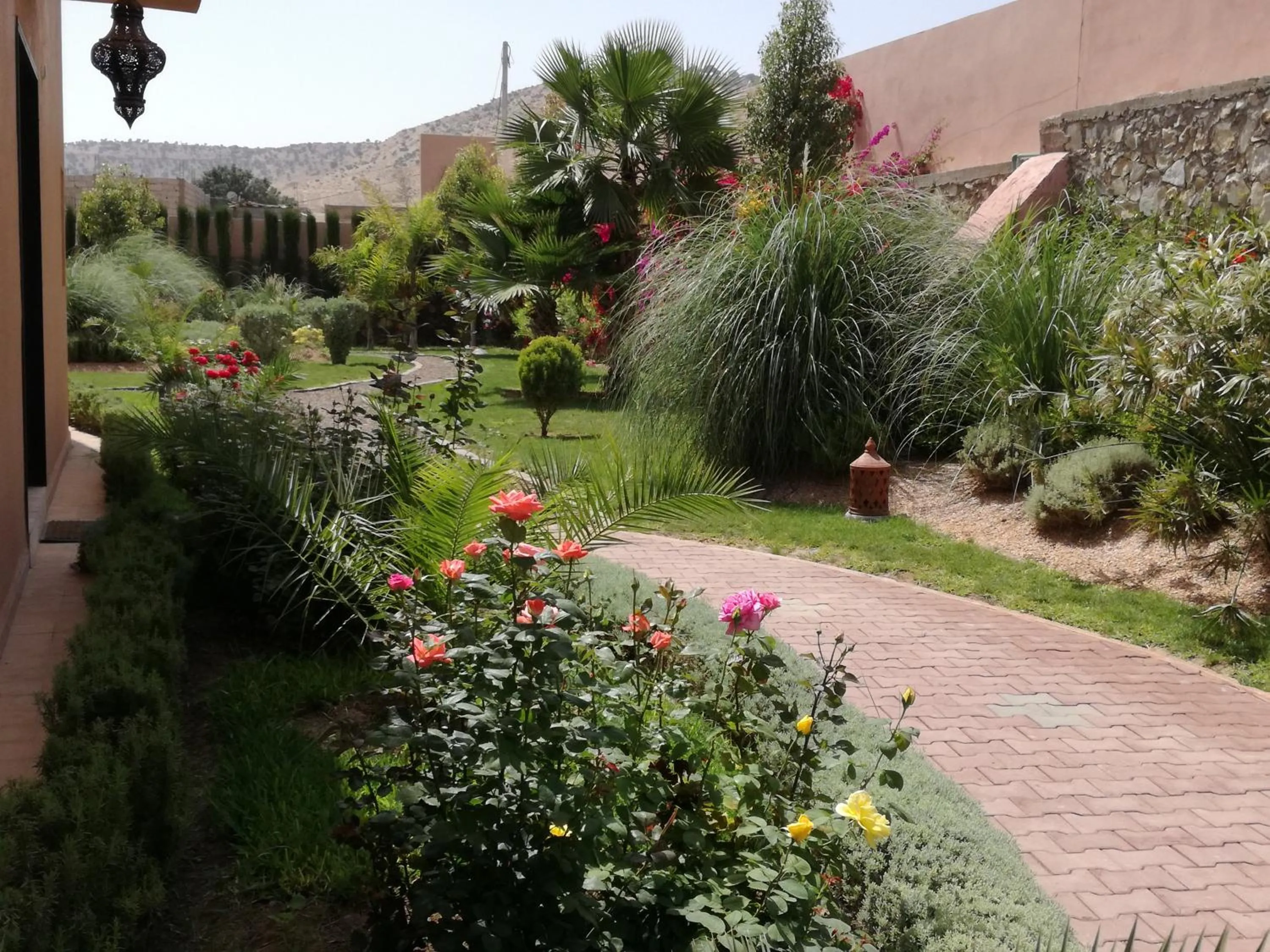 Garden in Riad Asmaa Agadir