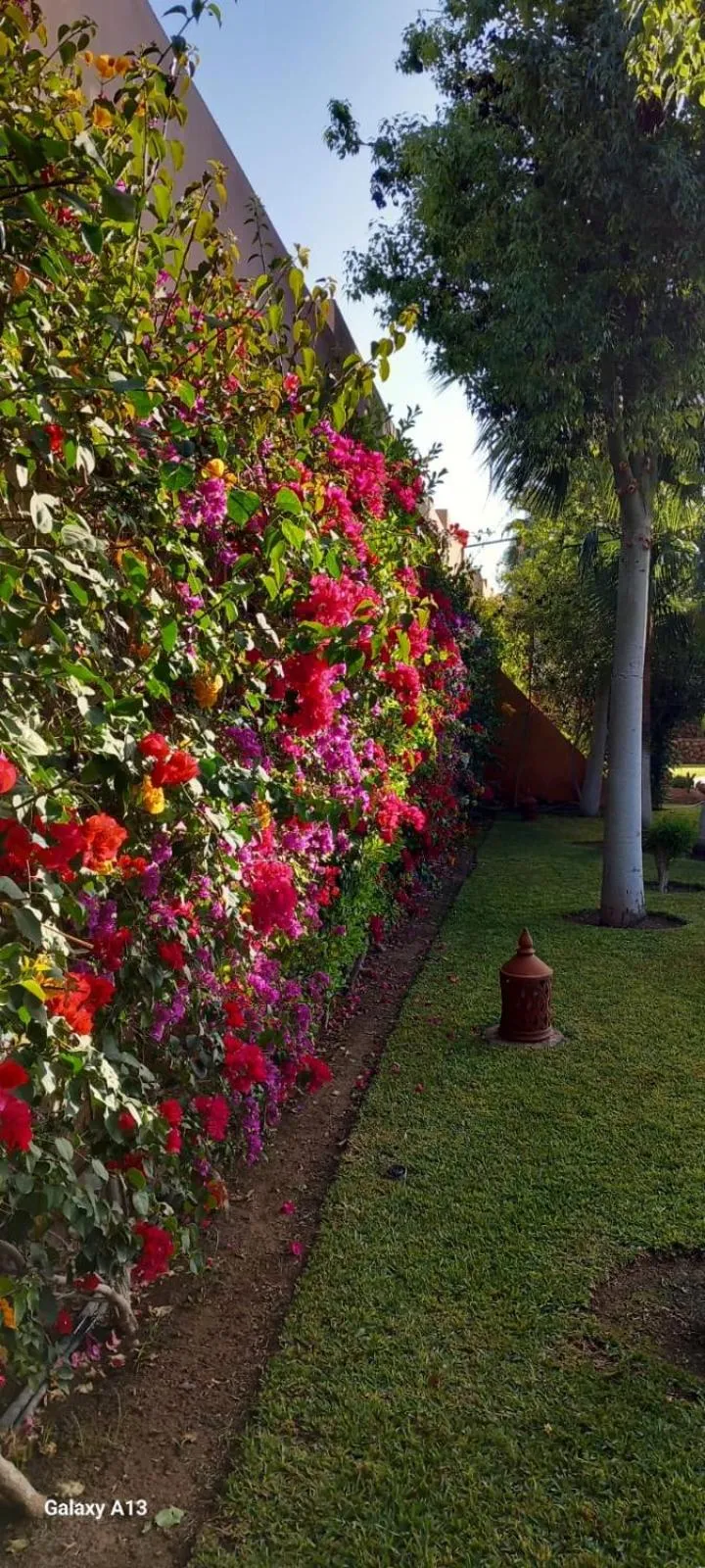Garden in Riad Asmaa Agadir