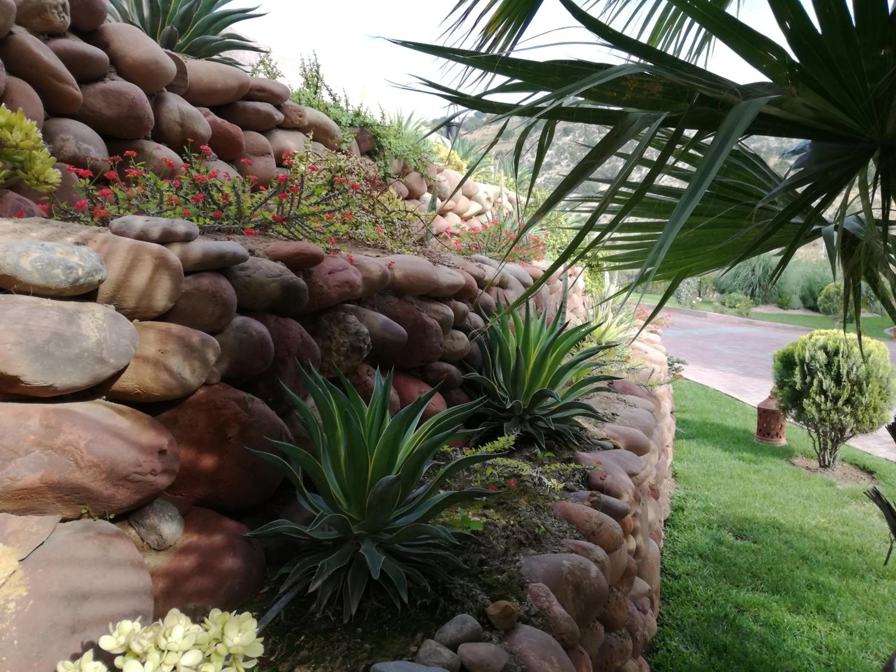 Garden in Riad Asmaa Agadir