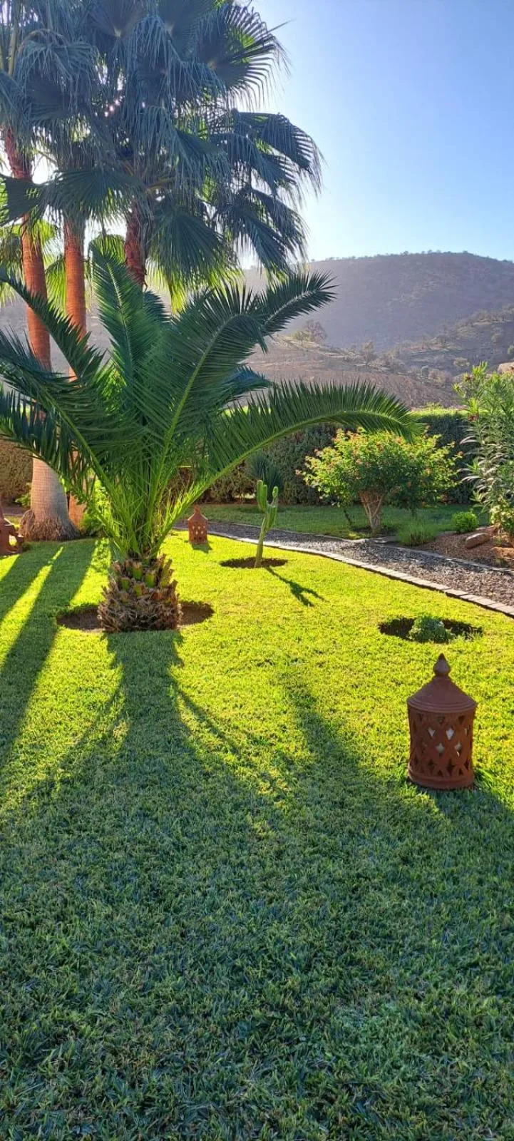 Garden in Riad Asmaa Agadir