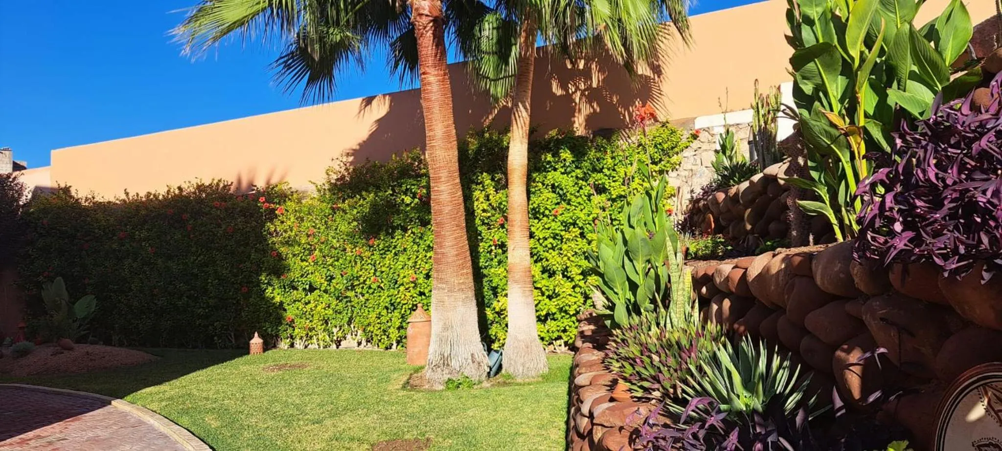 Garden in Riad Asmaa Agadir