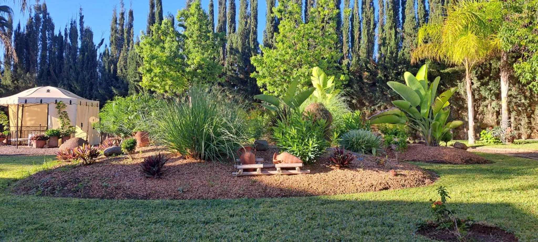 Garden in Riad Asmaa Agadir