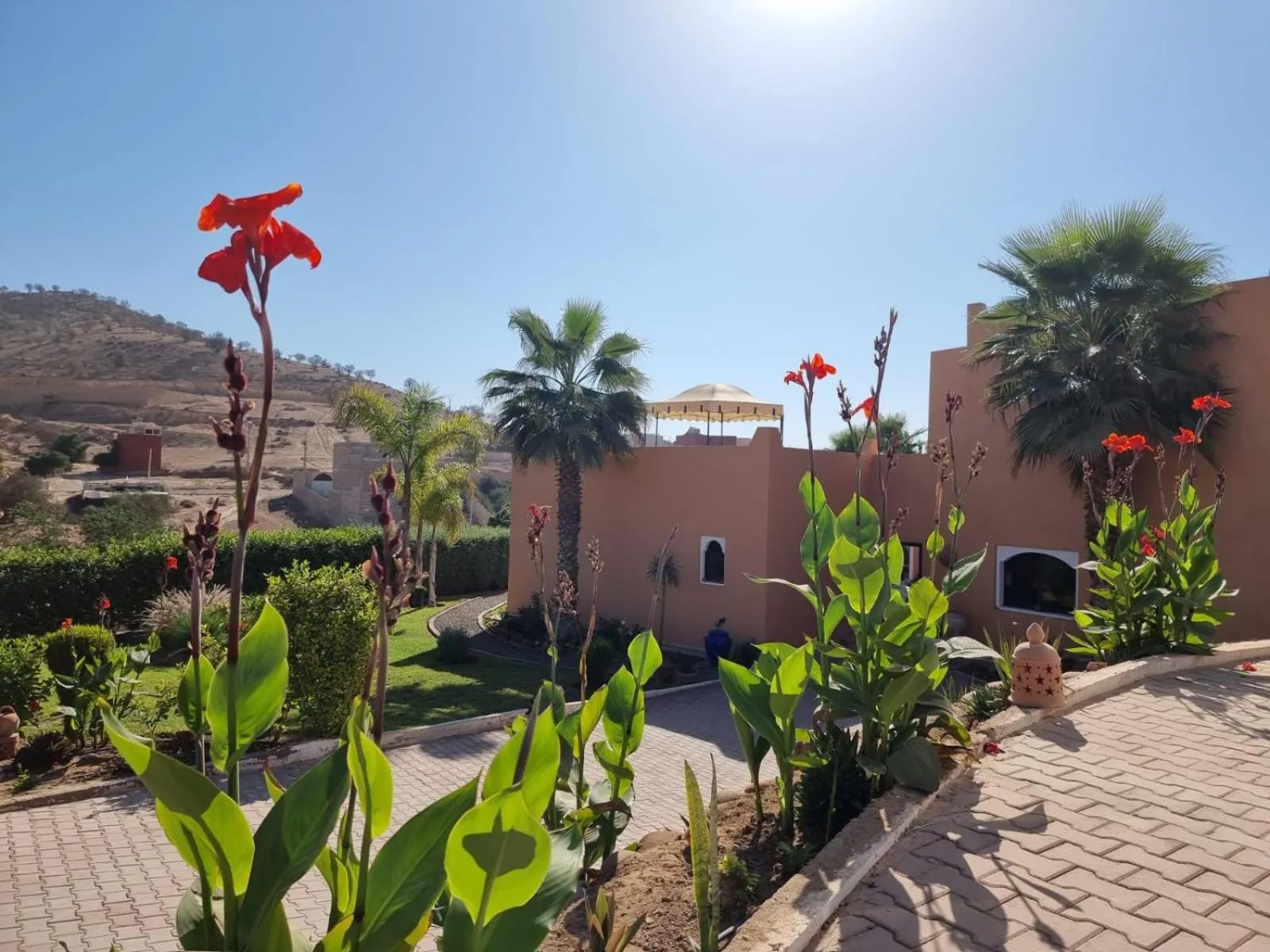 Garden in Riad Asmaa Agadir