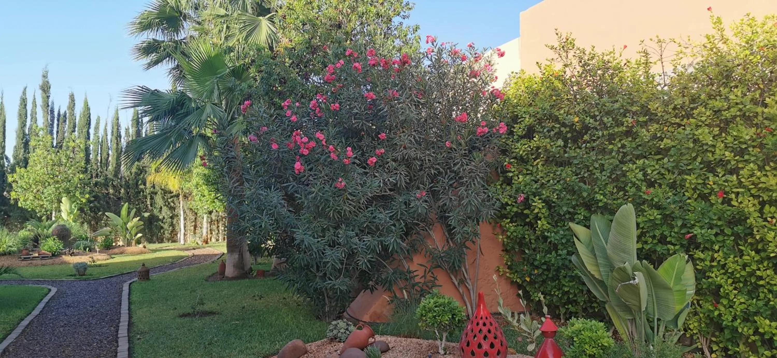 Garden in Riad Asmaa Agadir