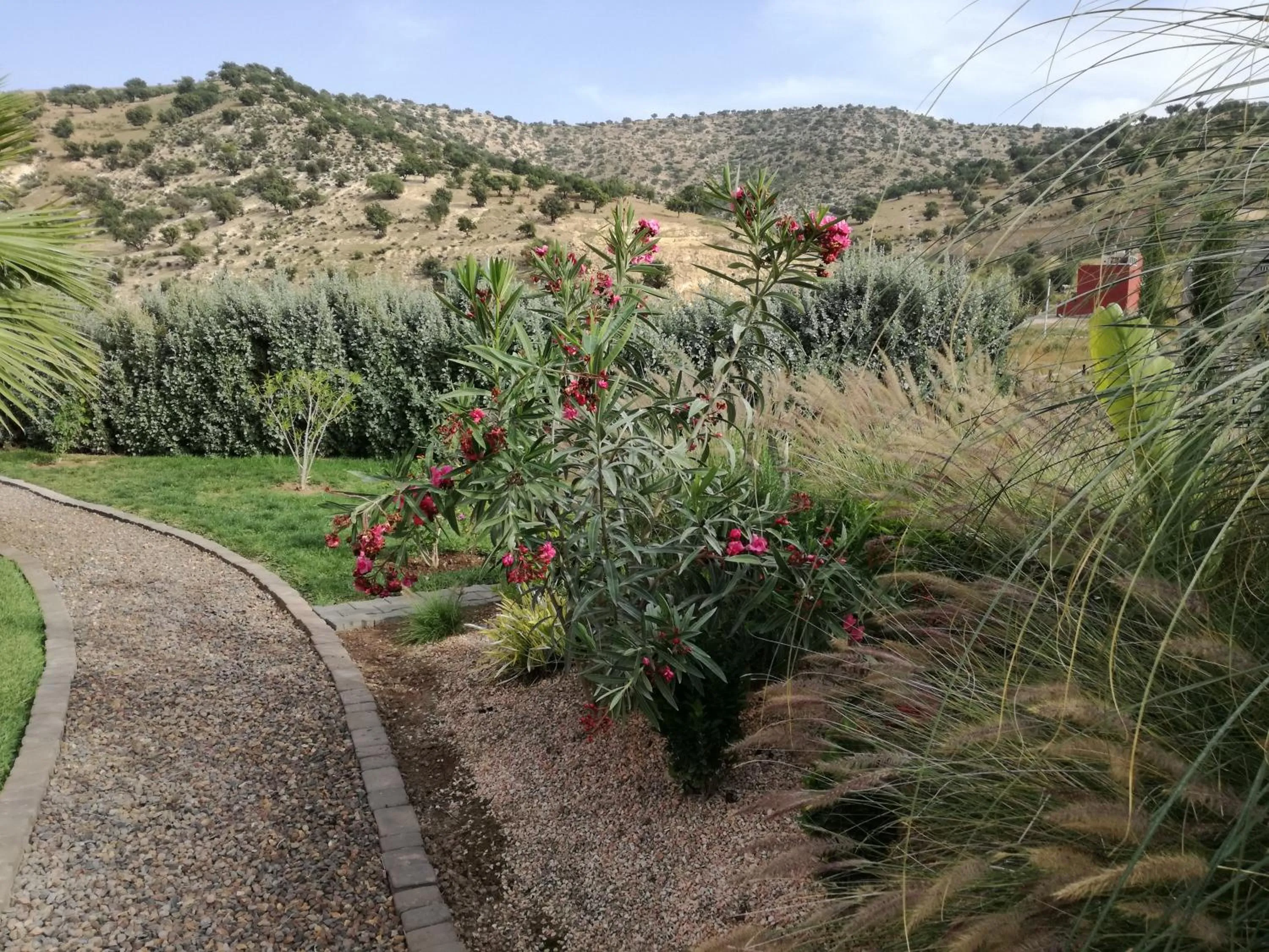 Garden in Riad Asmaa Agadir