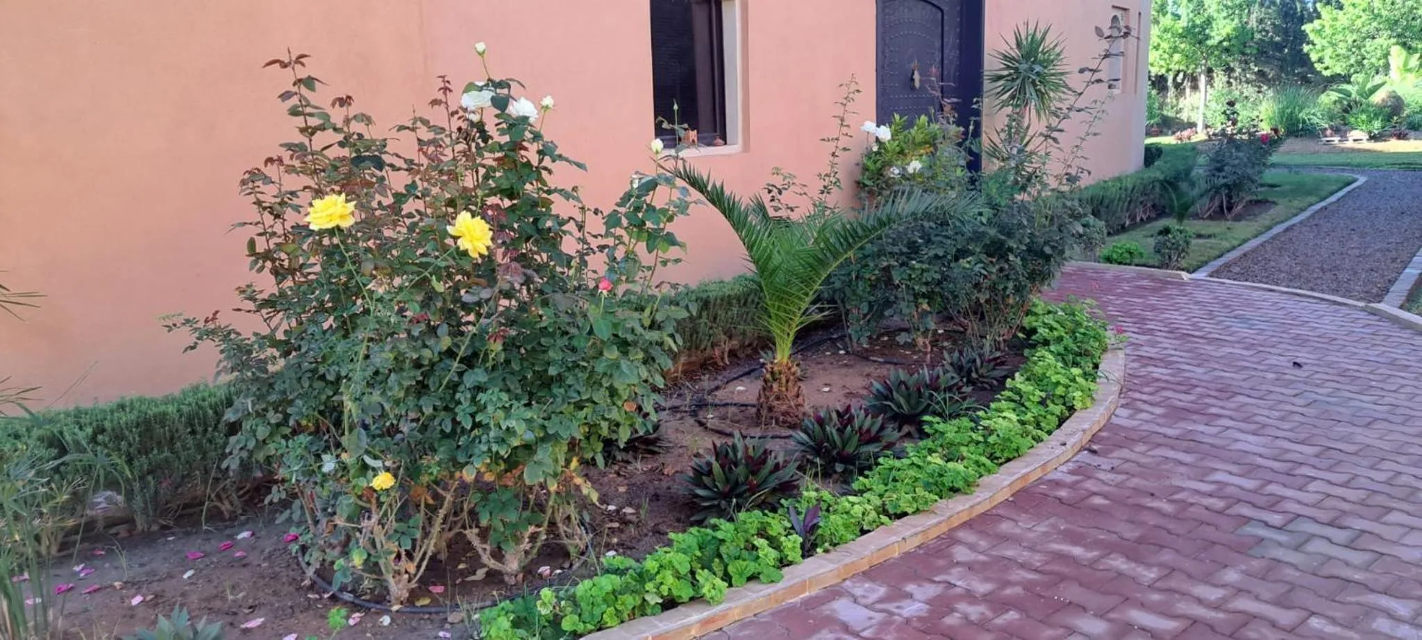 Garden in Riad Asmaa Agadir