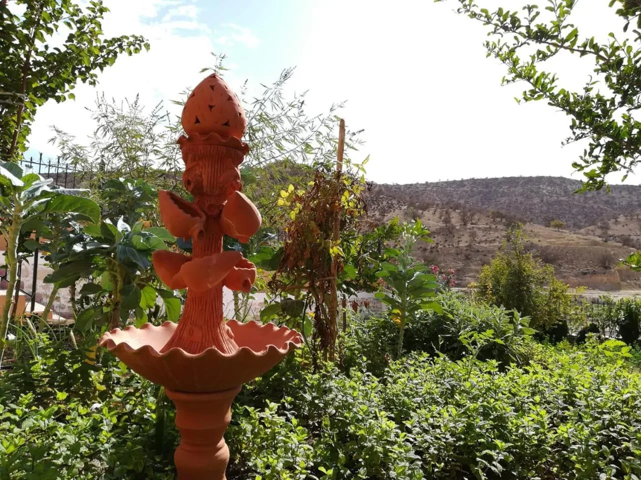 Garden in Riad Asmaa Agadir