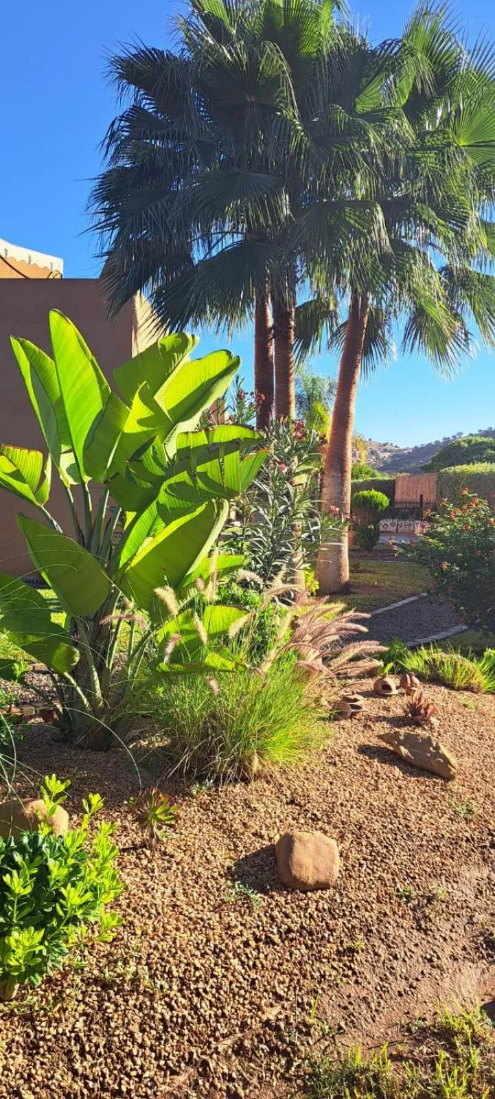 Garden in Riad Asmaa Agadir