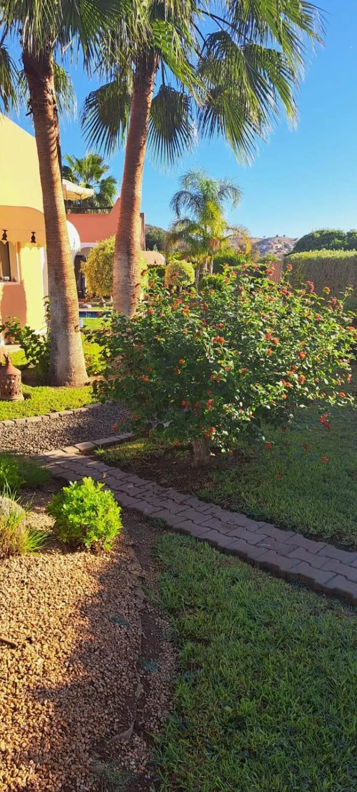 Garden in Riad Asmaa Agadir