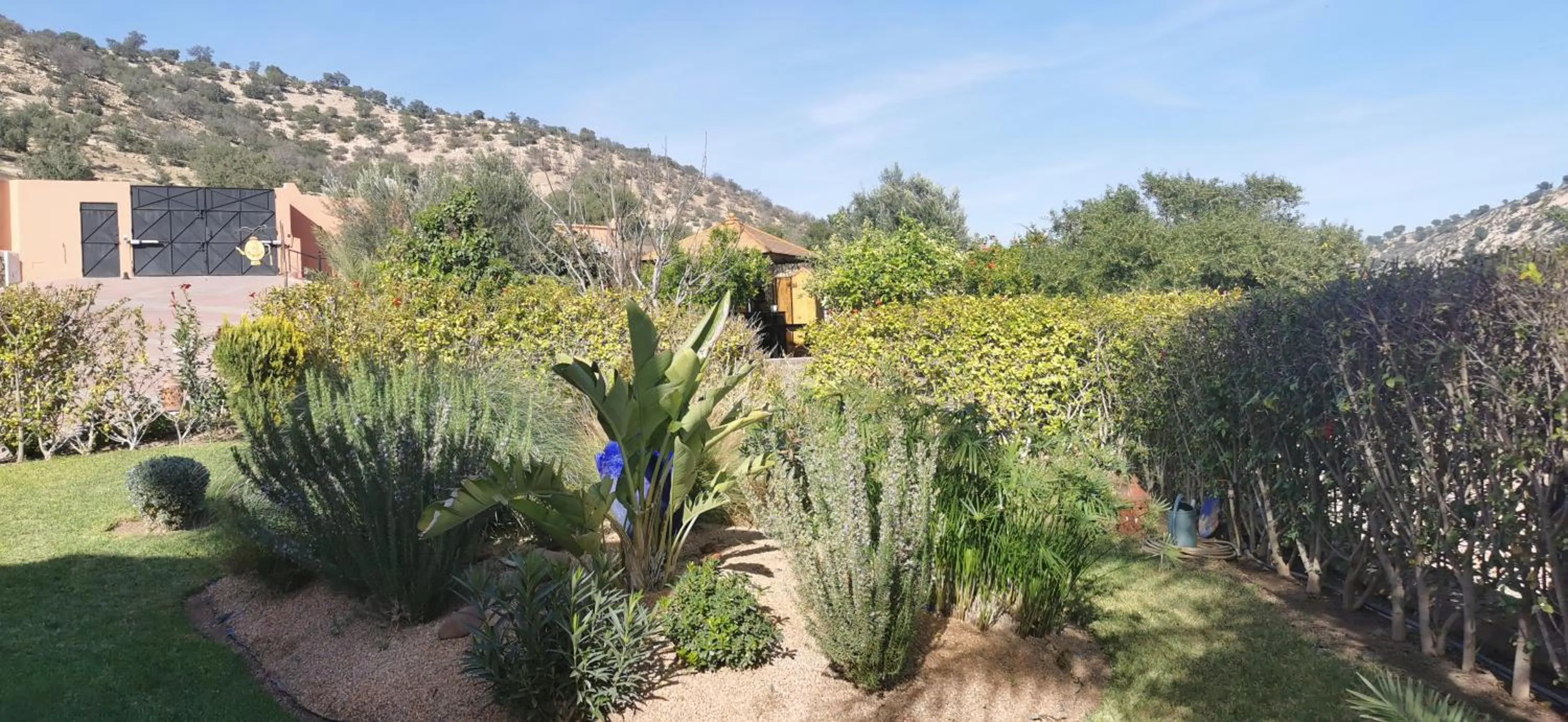 Garden in Riad Asmaa Agadir